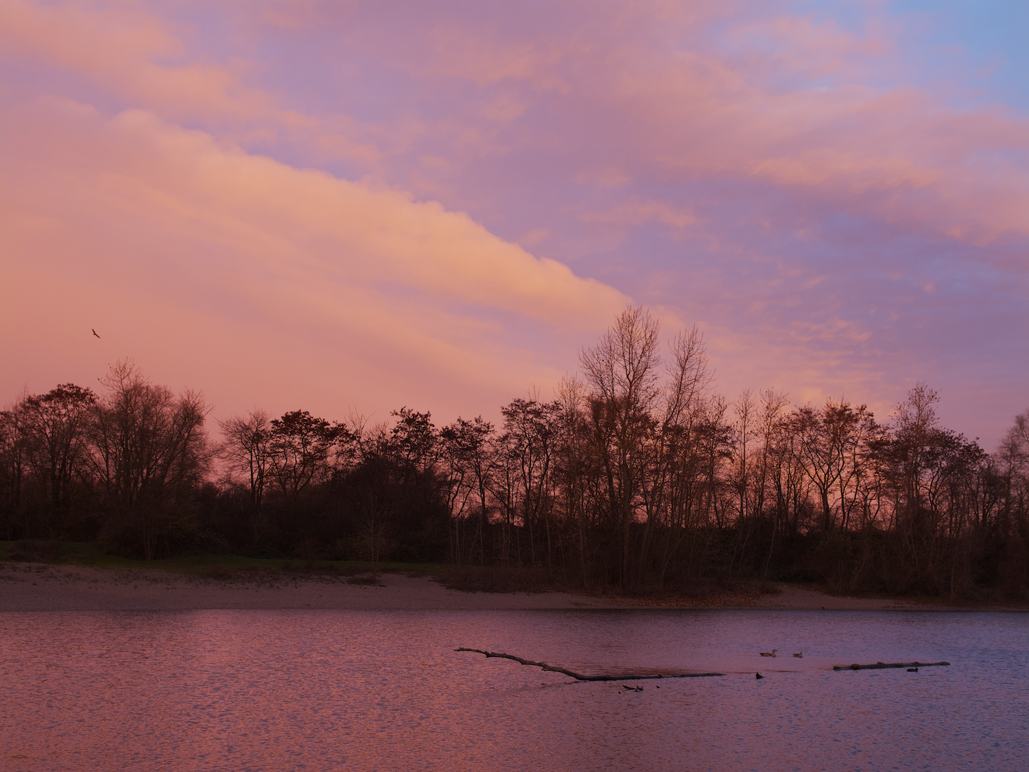 Hitdorfer See
