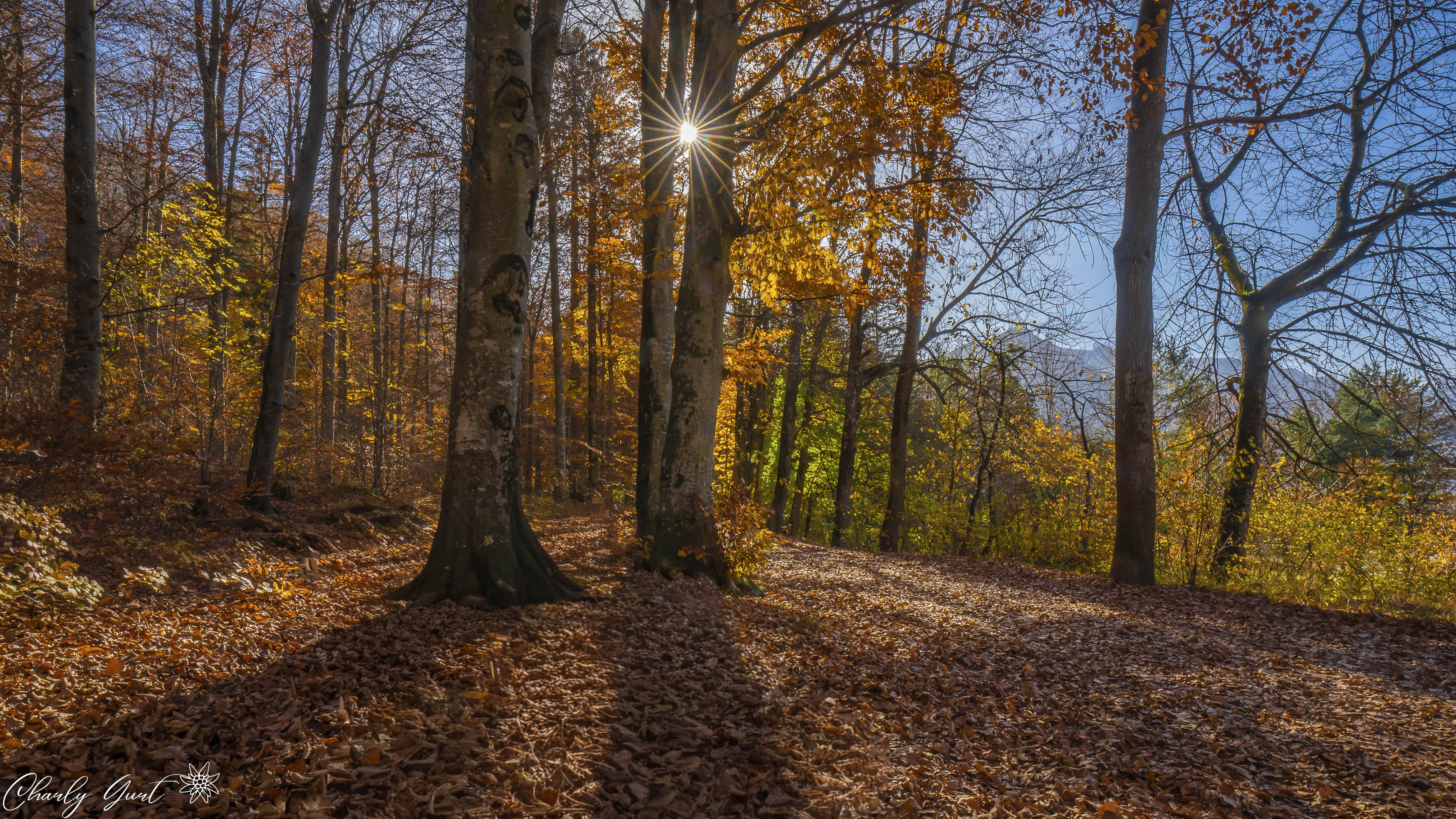 Herbstzauber