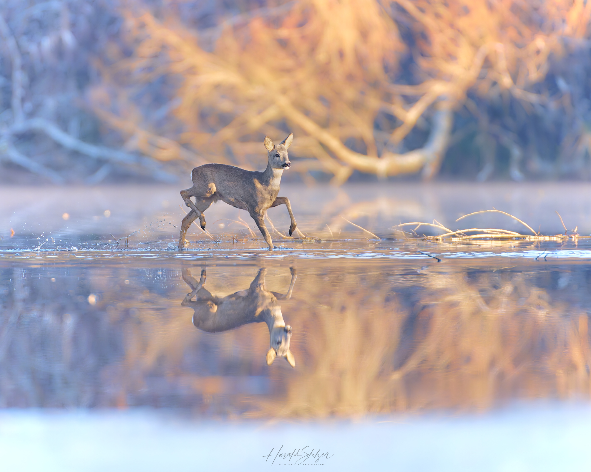 Eiskalt und brennheiß