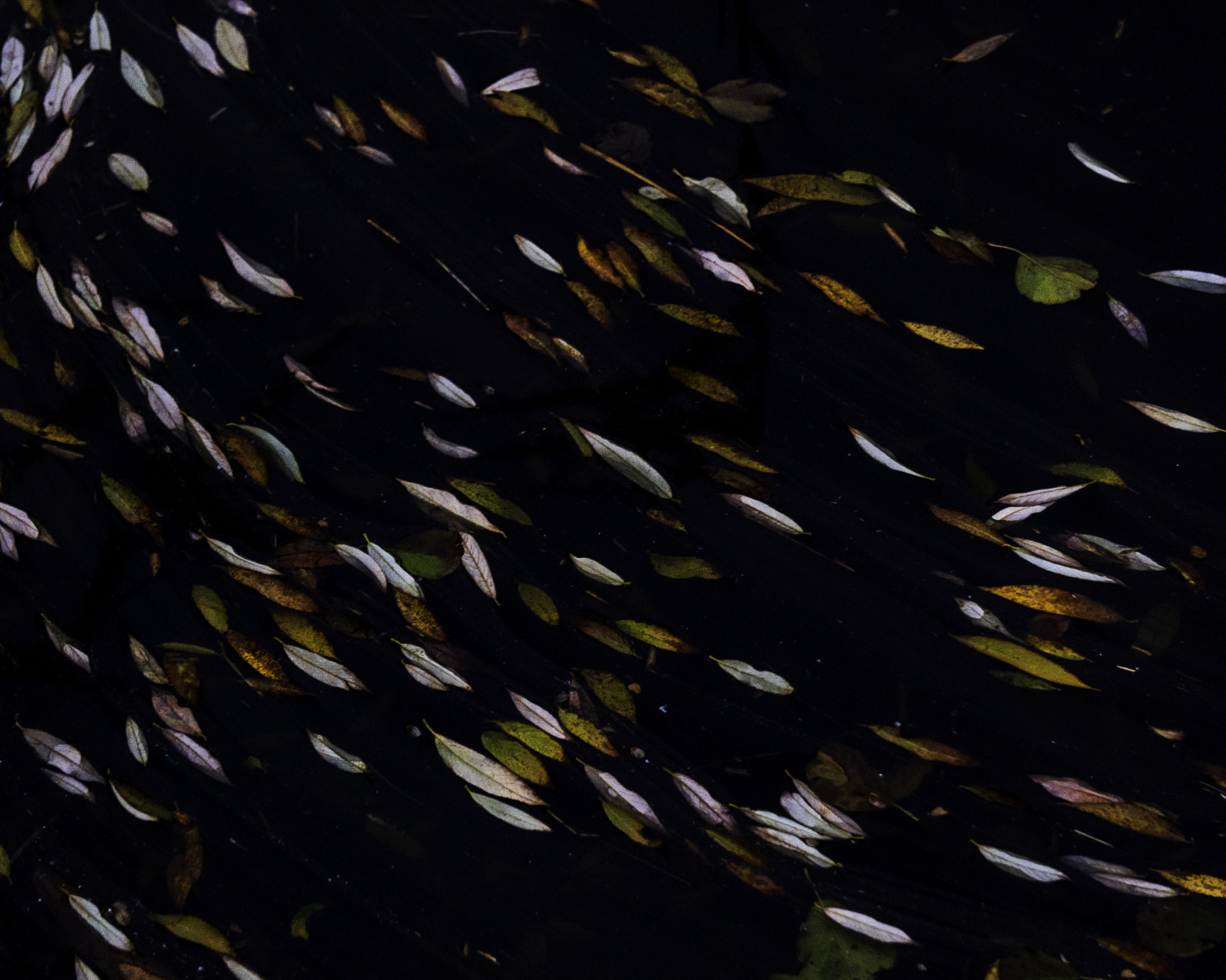 Der Herbst ist zu Ende