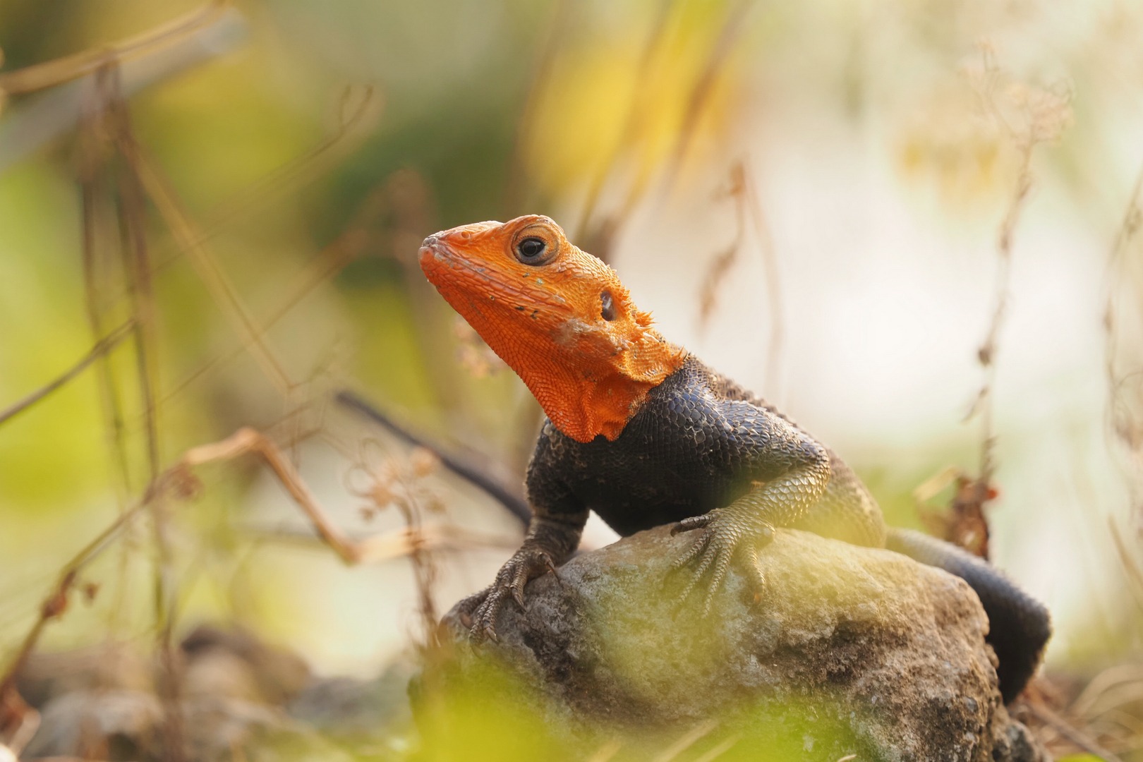 Mein Stein, mein Platz!