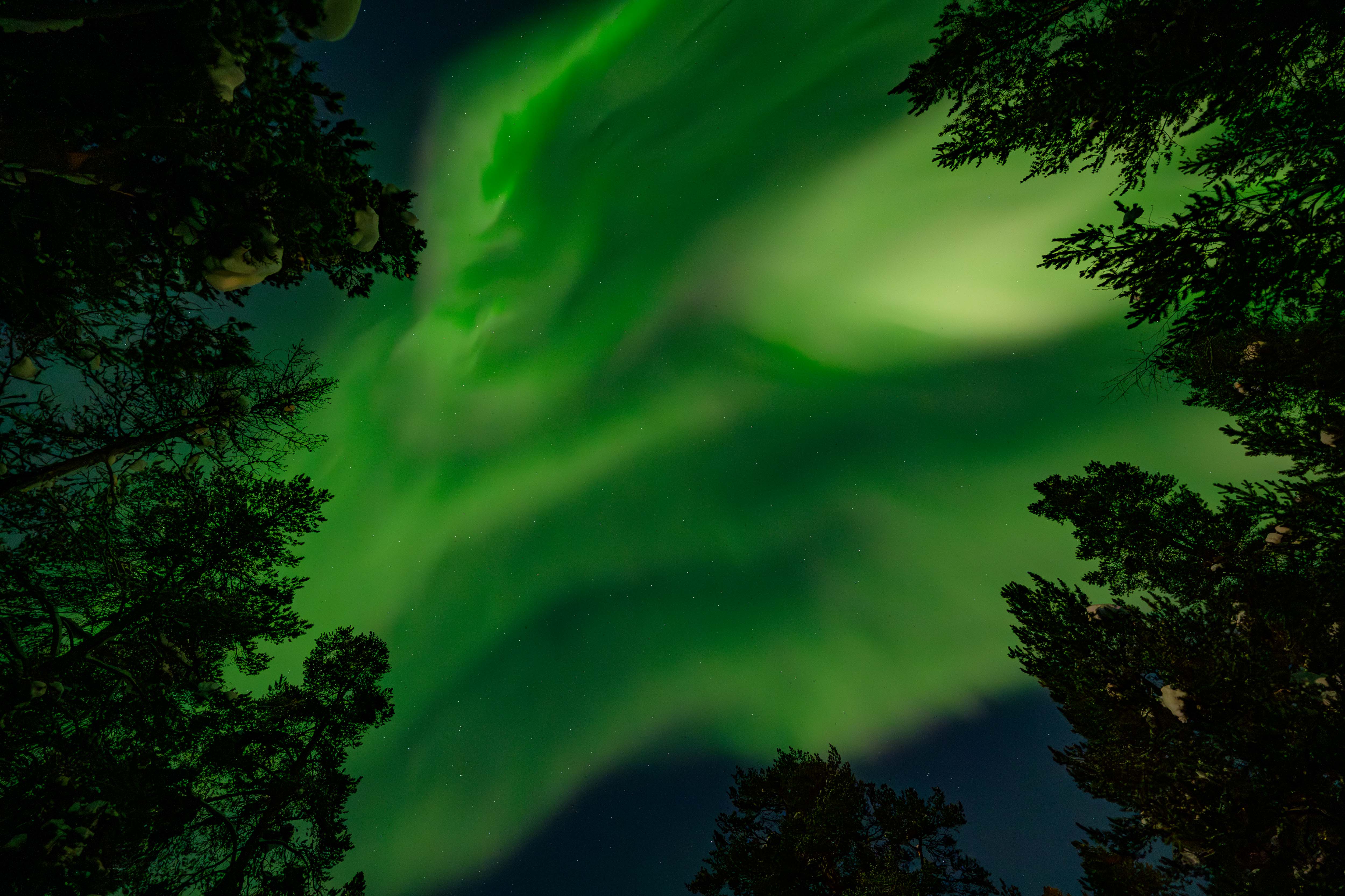 Aurora - immer wieder schön!