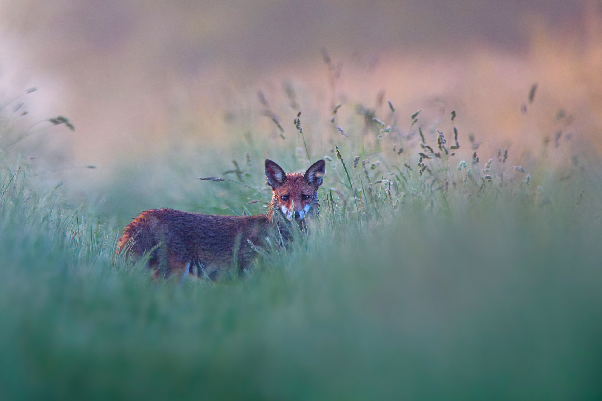 ein kurzer Augenblick