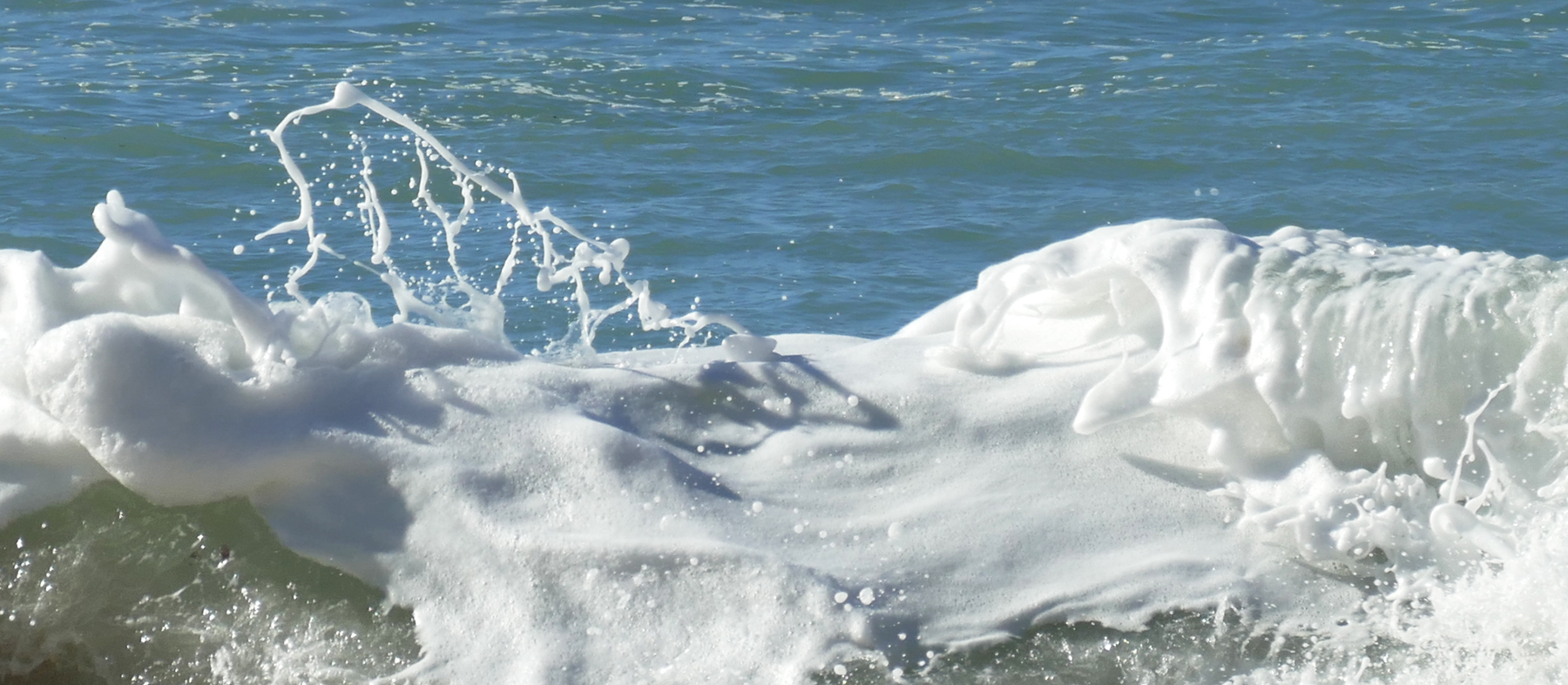 ... in der Weihnachtsbäckerei ...