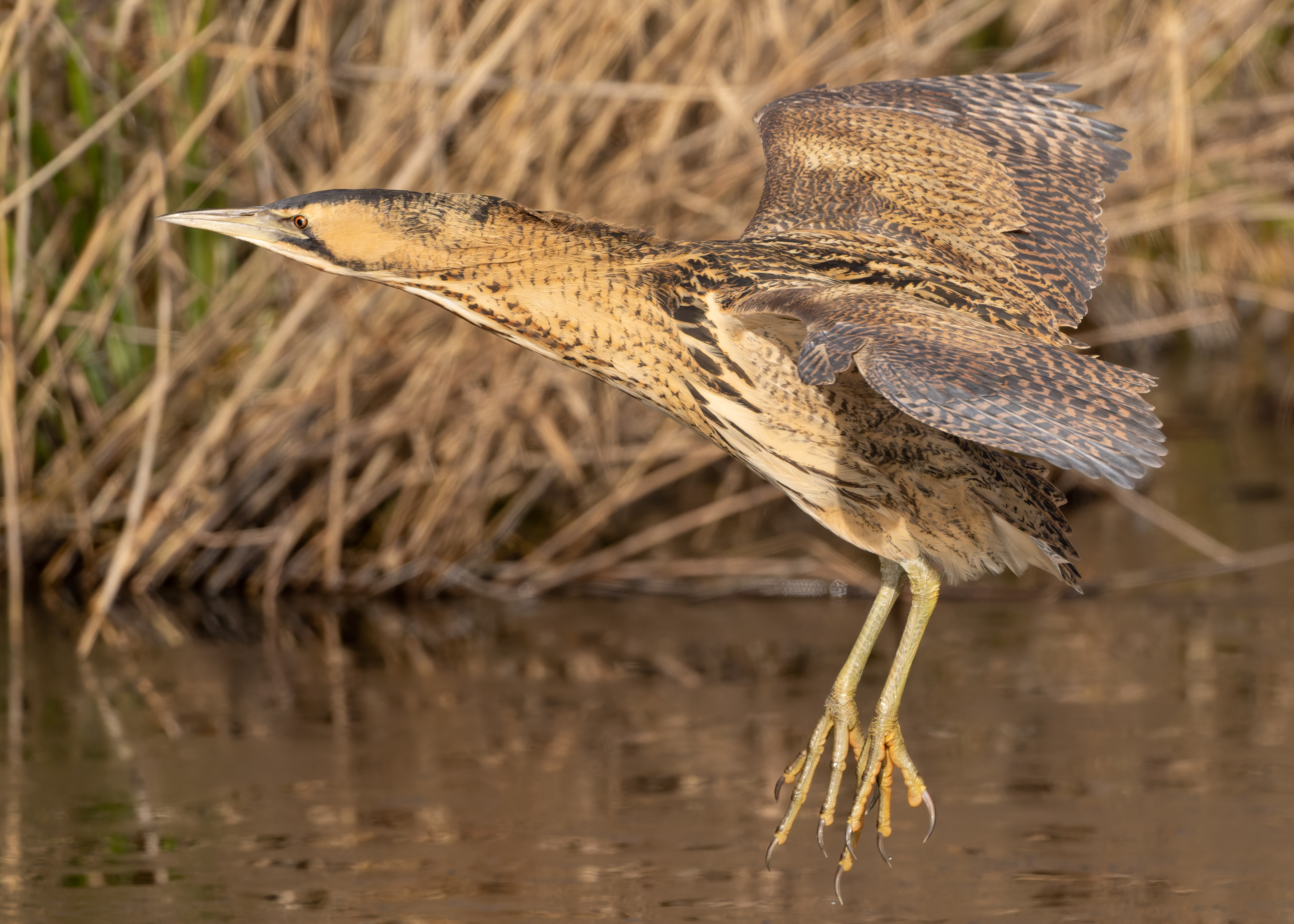 Landeanflug