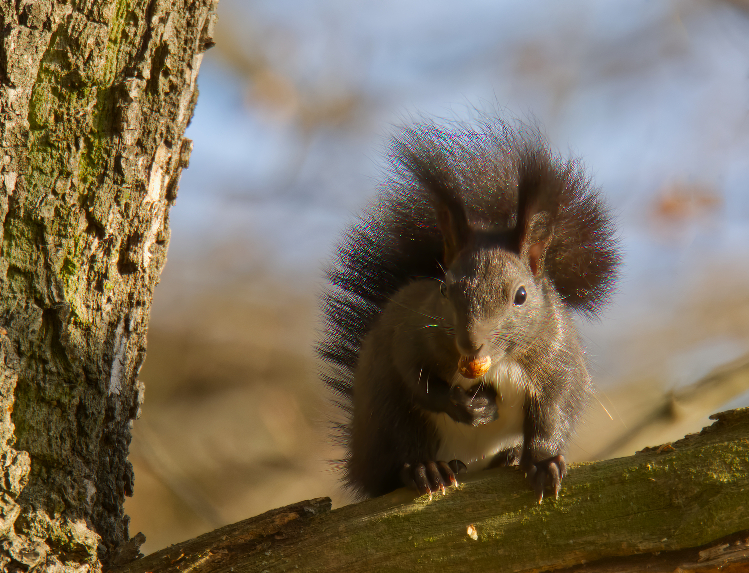 Noch bissl was "anfuttern",