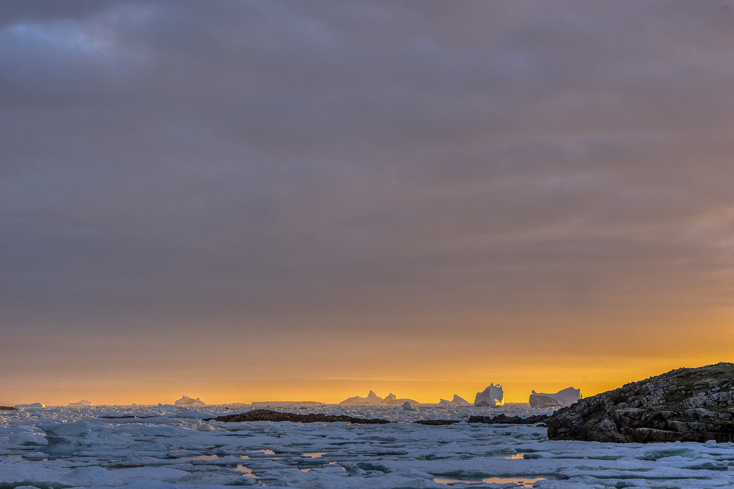 Im Packeis auf Fogo Island / Neufundland