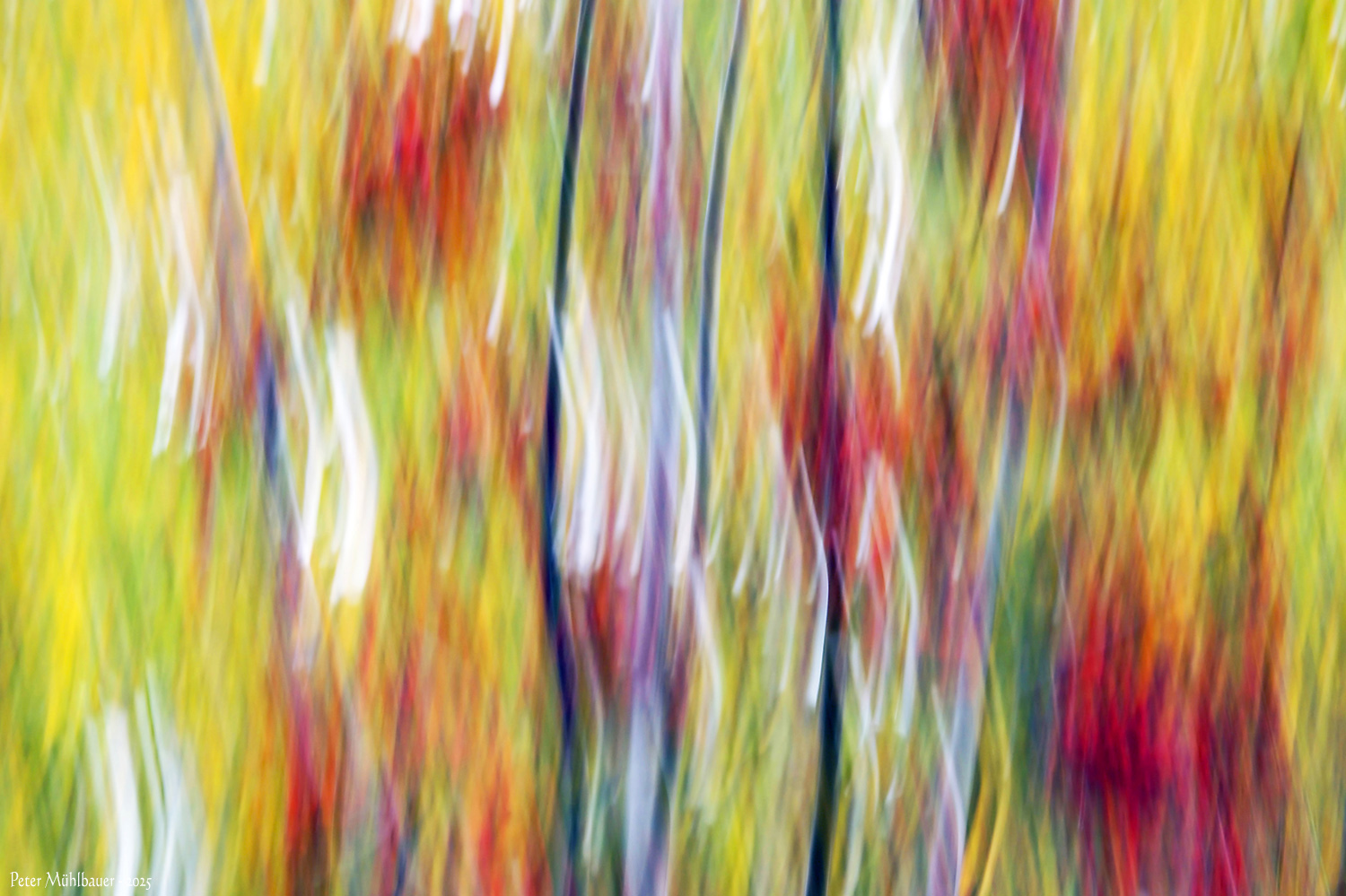 Abstrakter Wischer ..