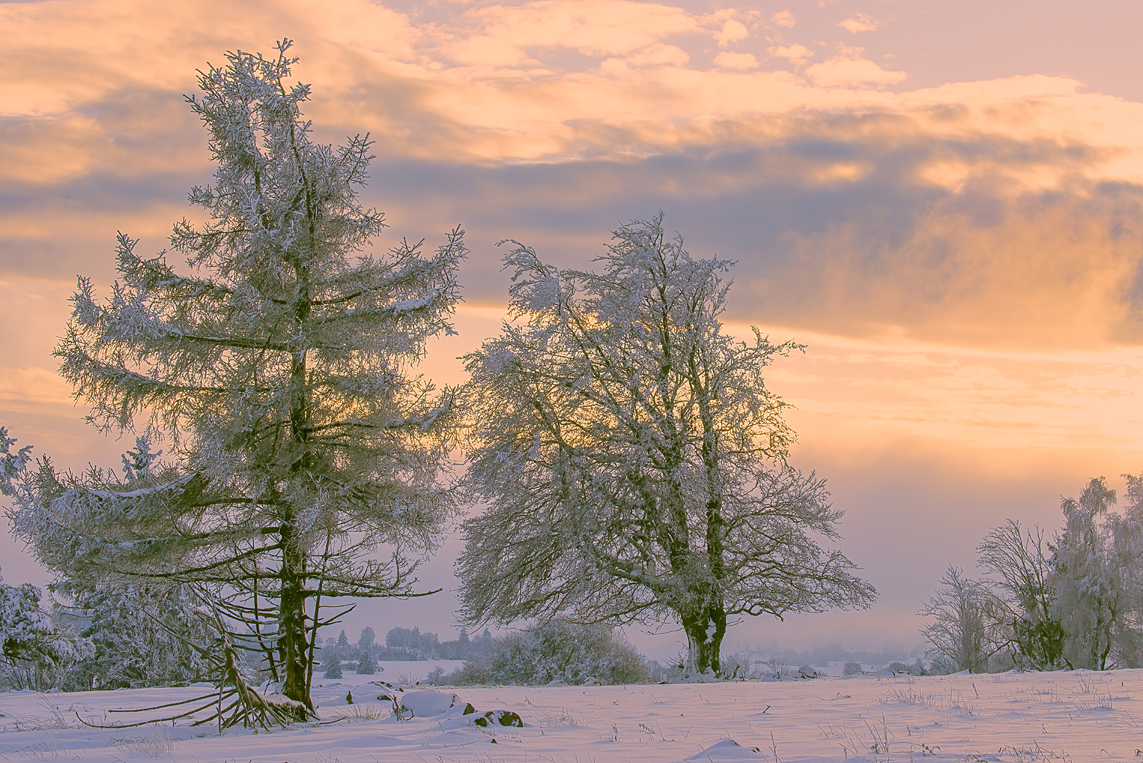 Stille Zeit