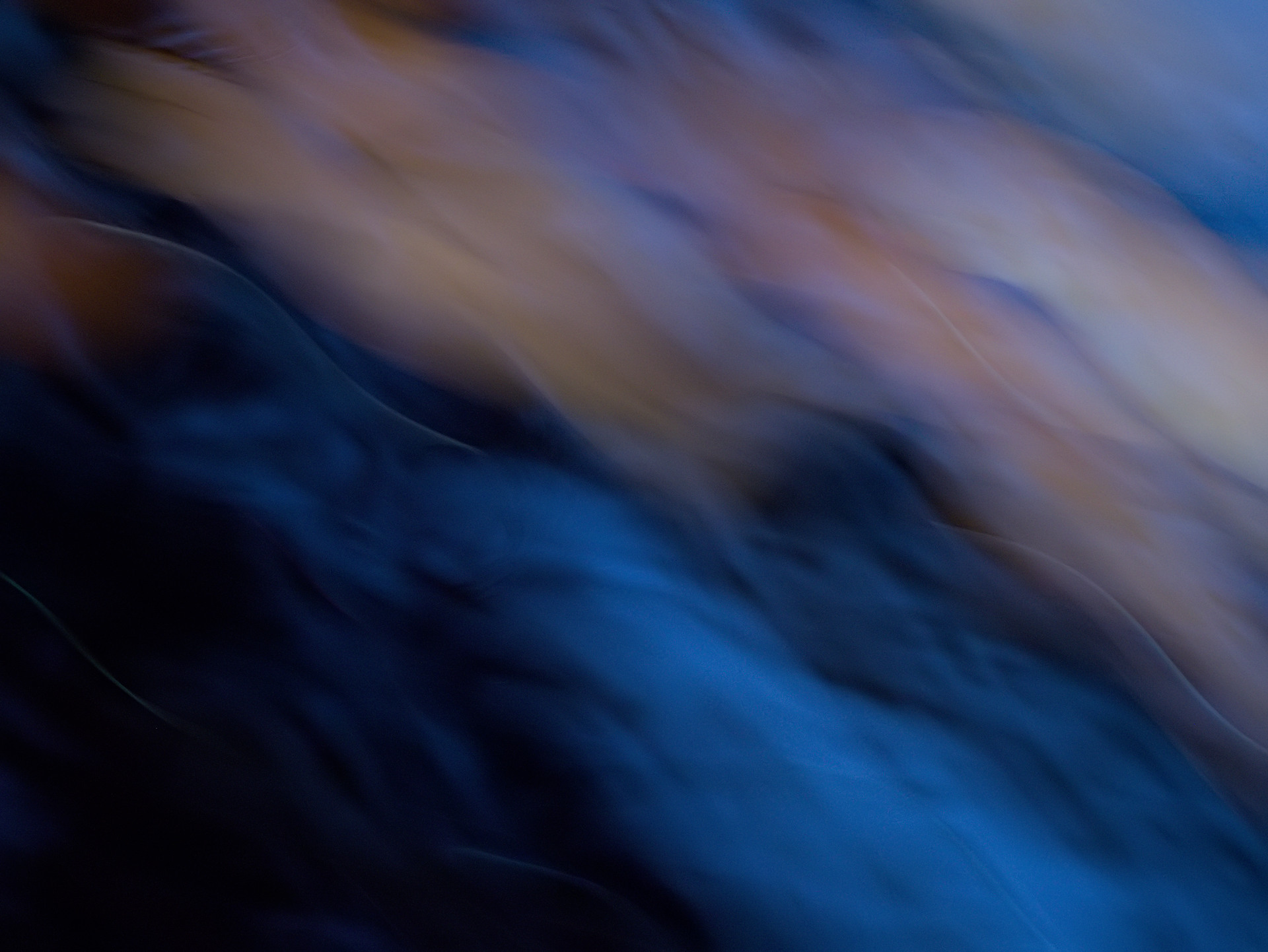 Waves