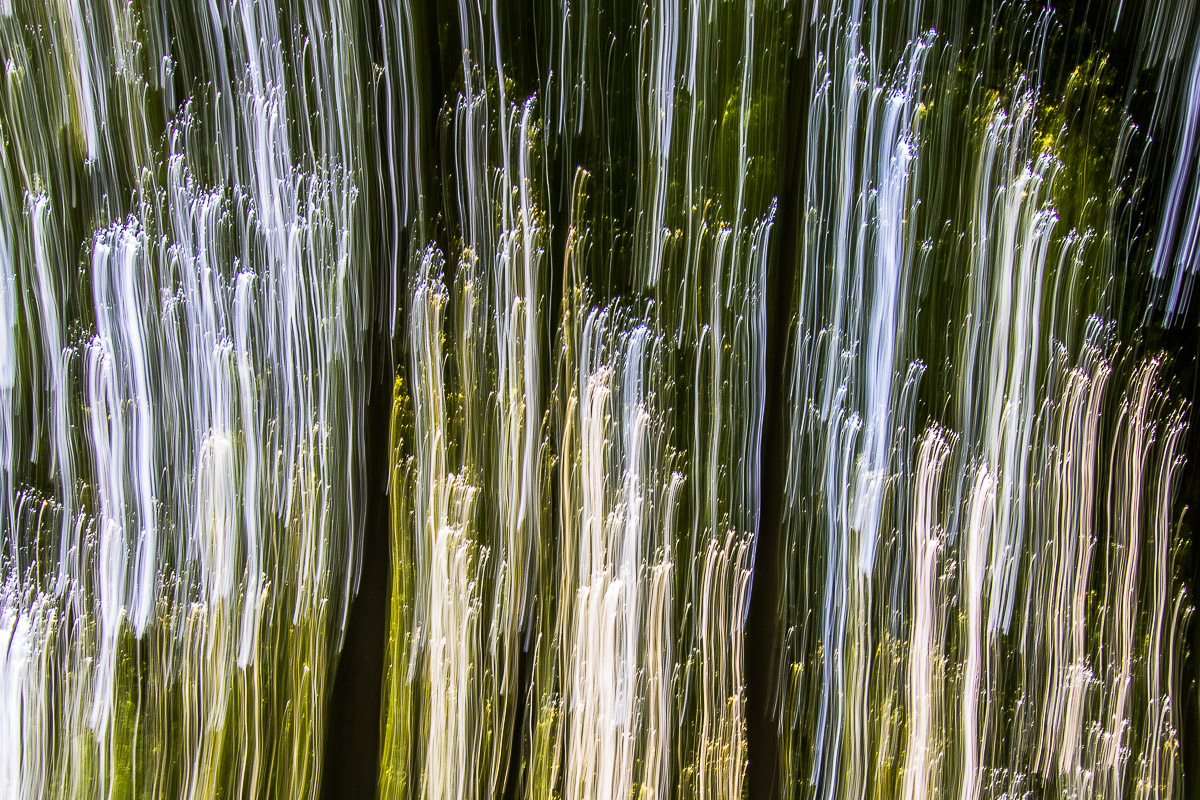 Wie ein Springbrunnen