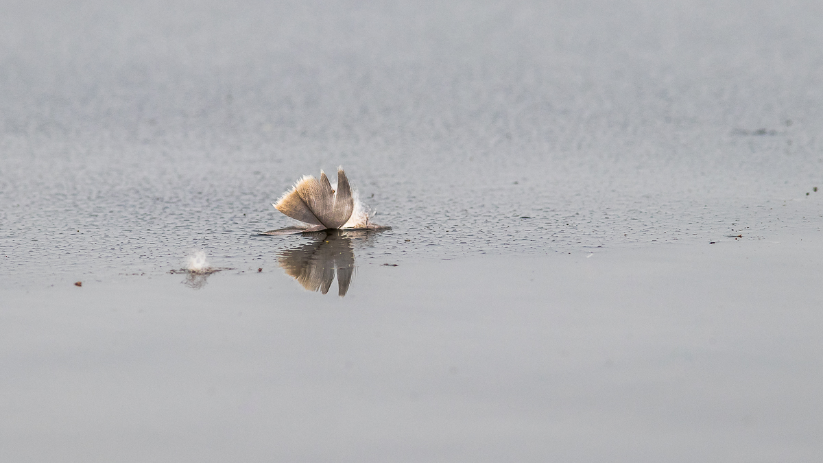 In ruhigem Fahrwasser