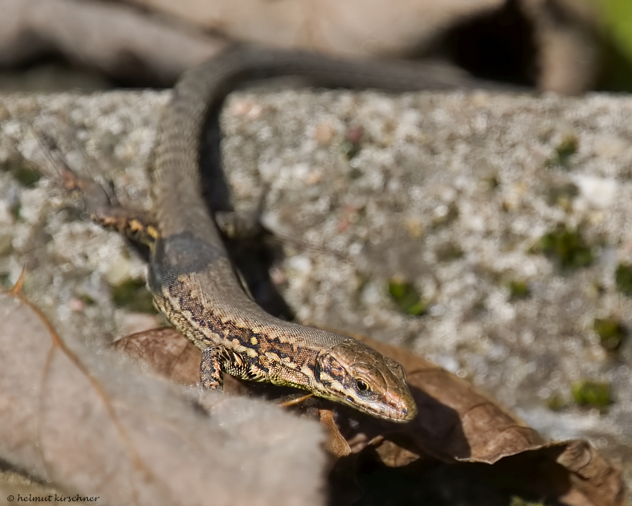 Ein warmer Wintertag