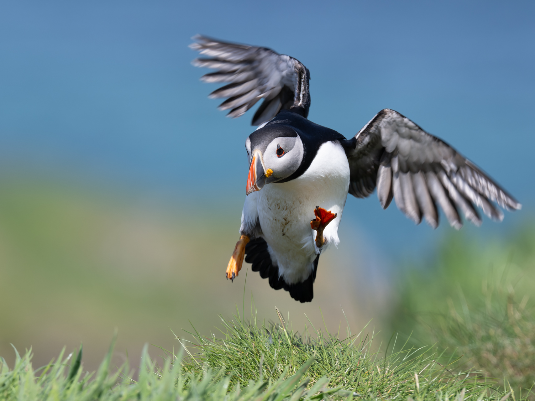 Good Landing