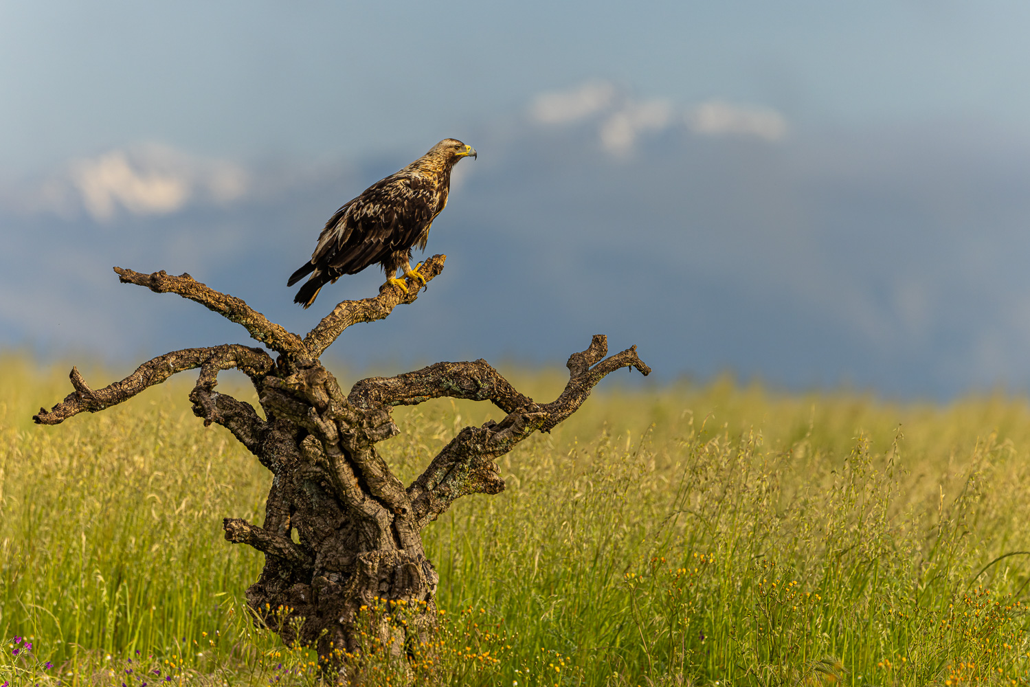 Alles im Blick