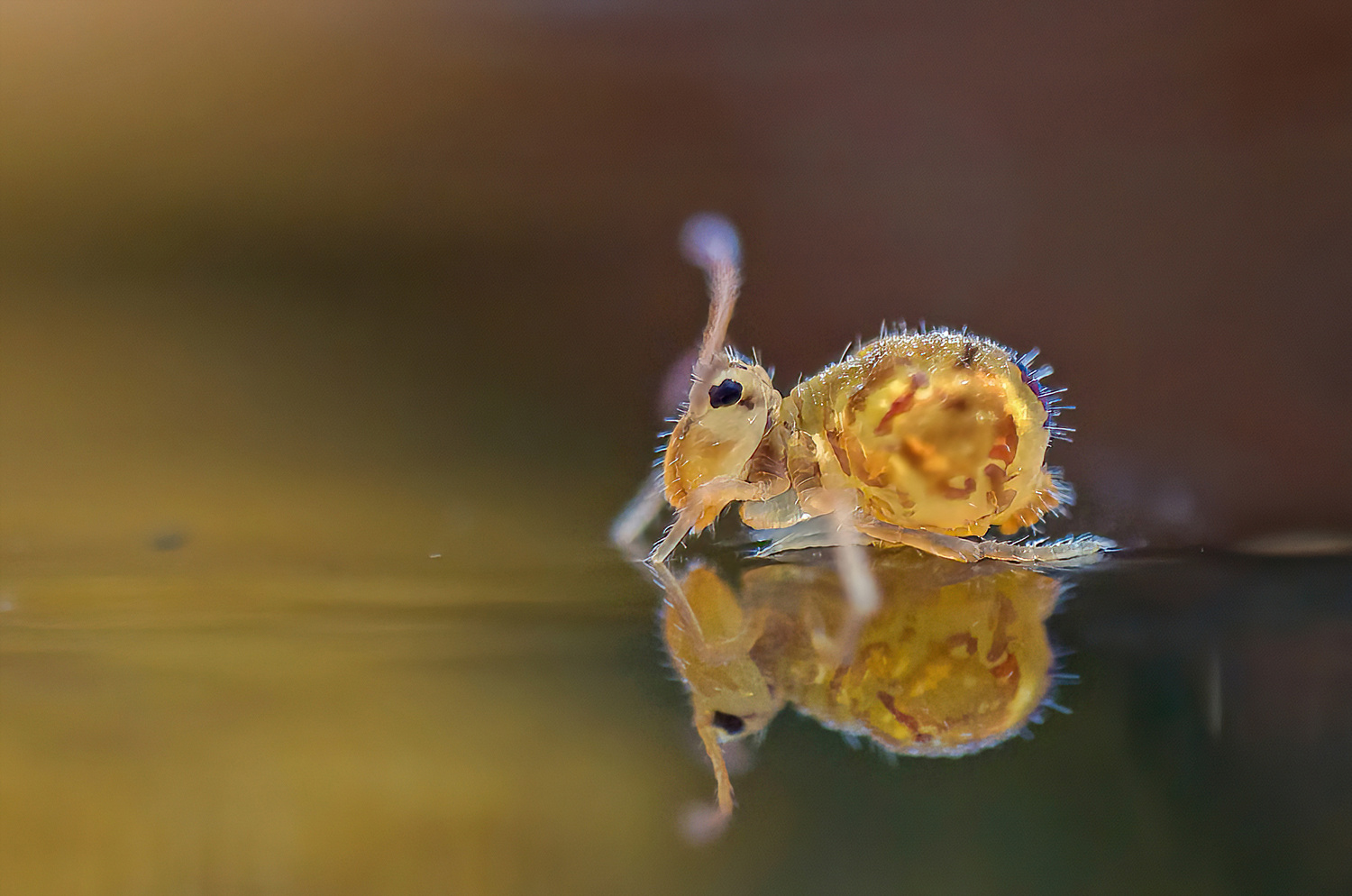Auf dem Wasser