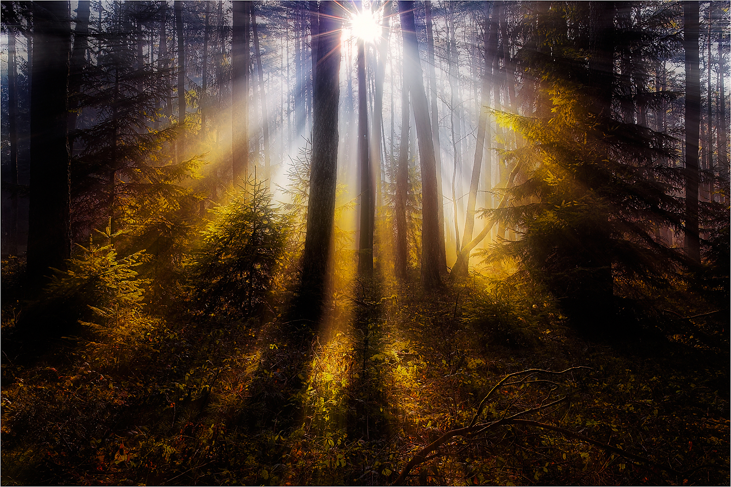 Sonne Zentral ...