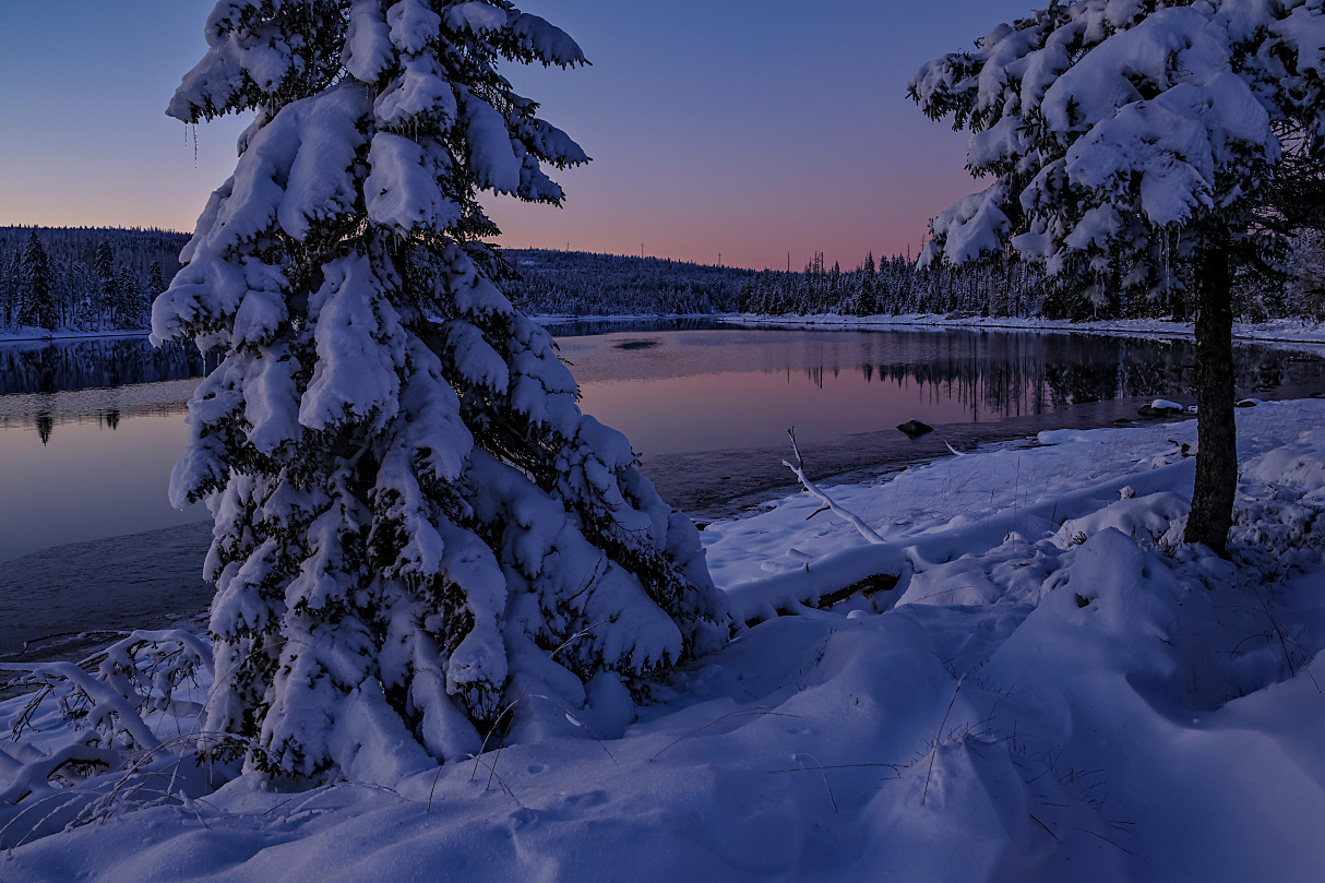 Blaue Stunde am Oderteich