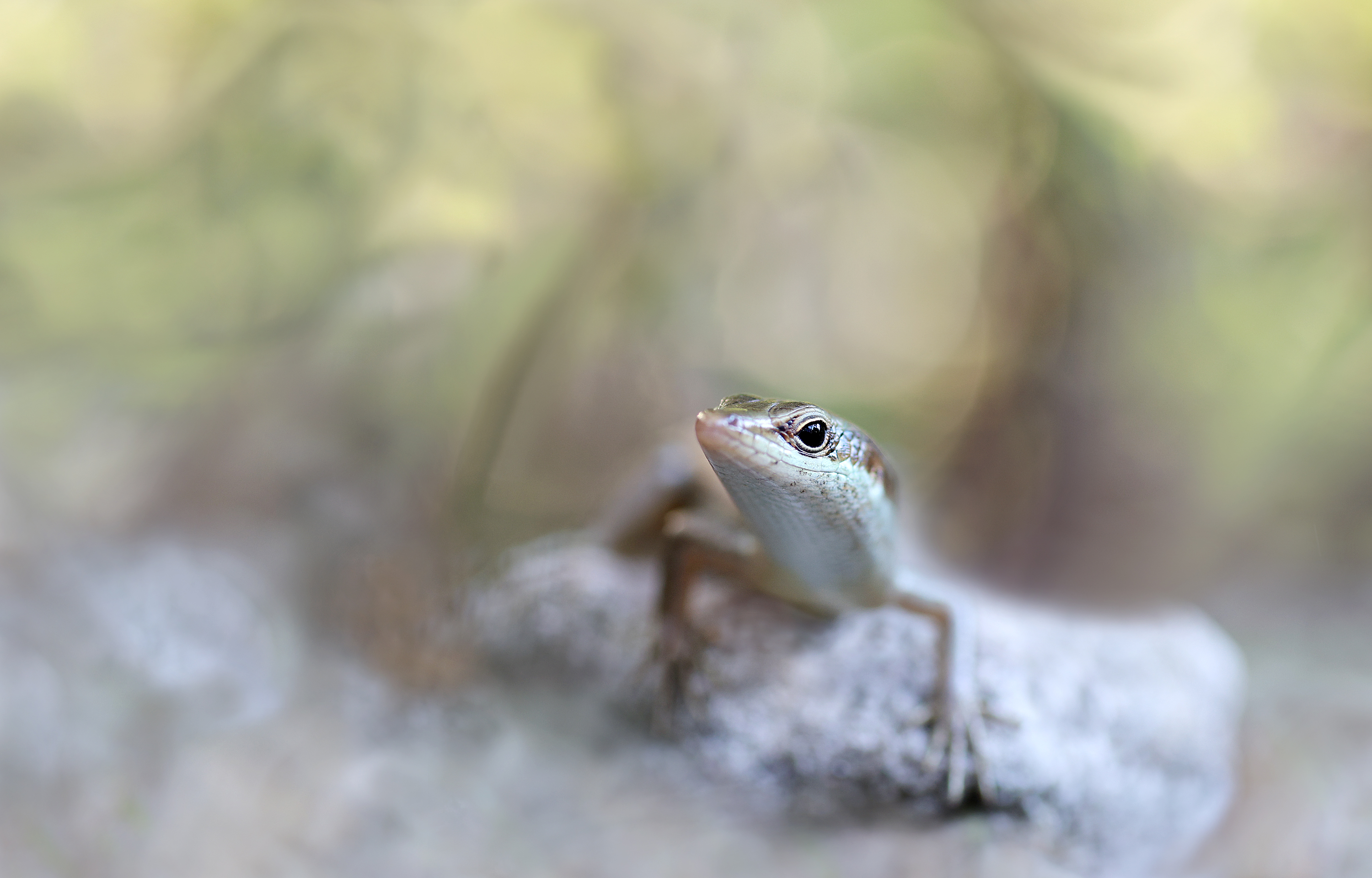 Neugierig ?... oder nur hungrig ??