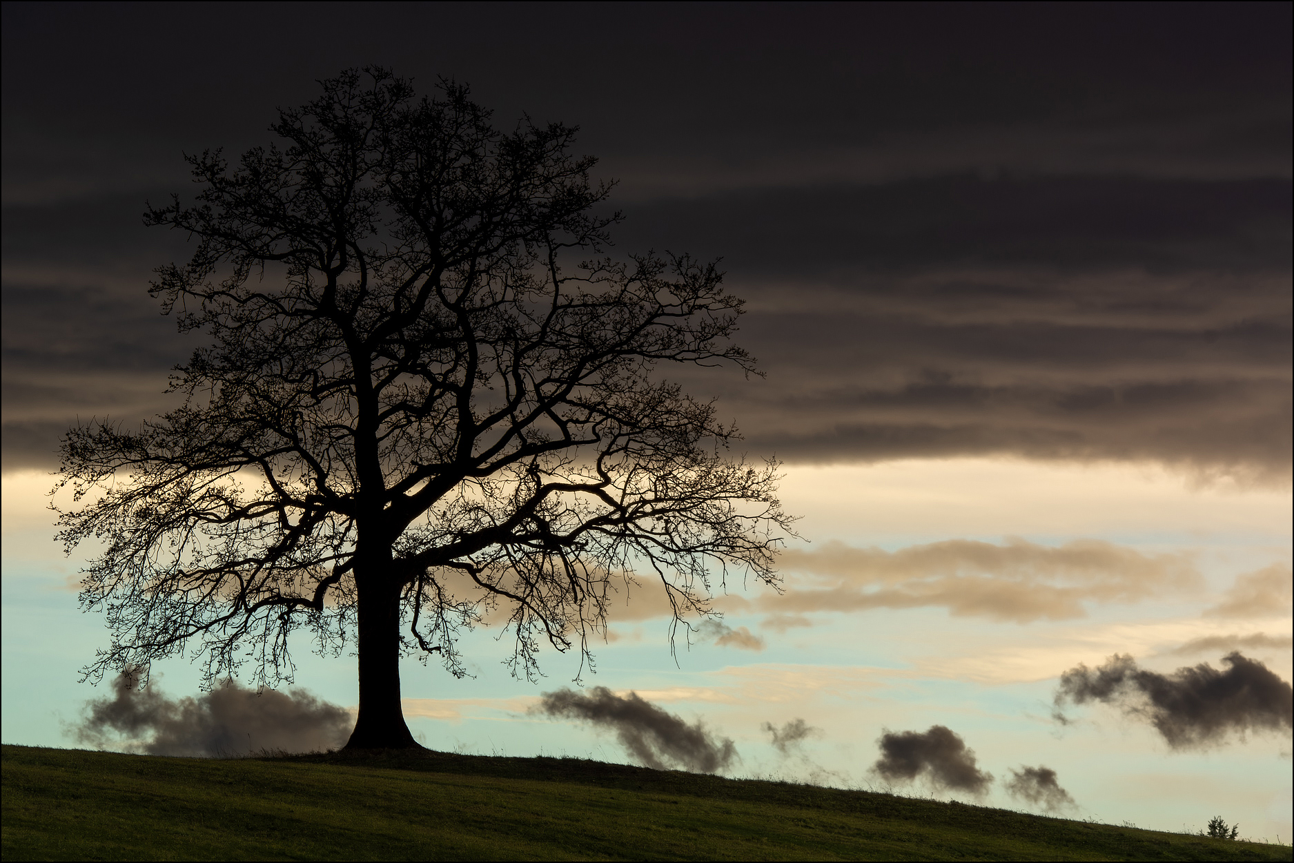 Silhouette
