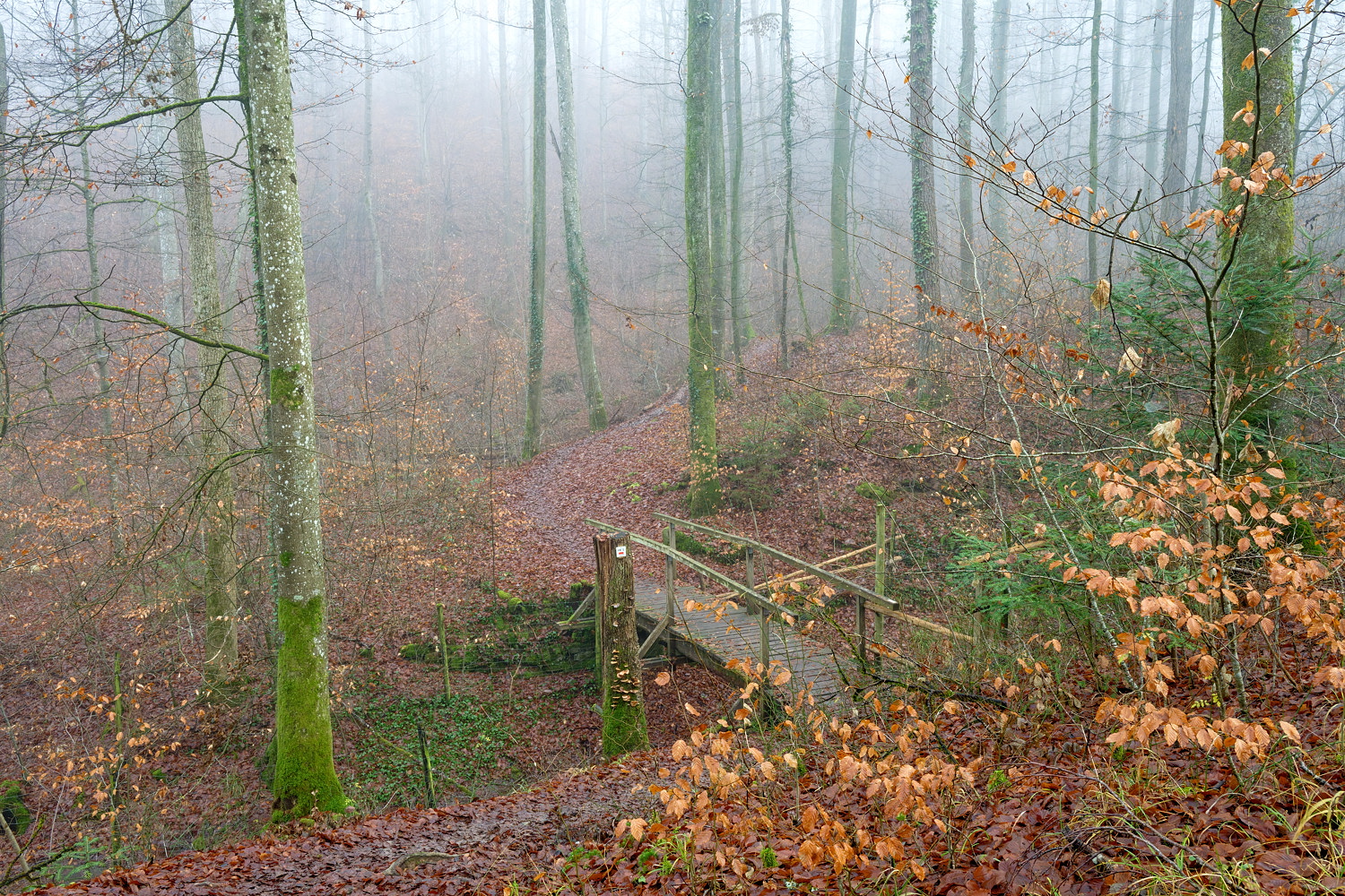 Ein Nebeltag....