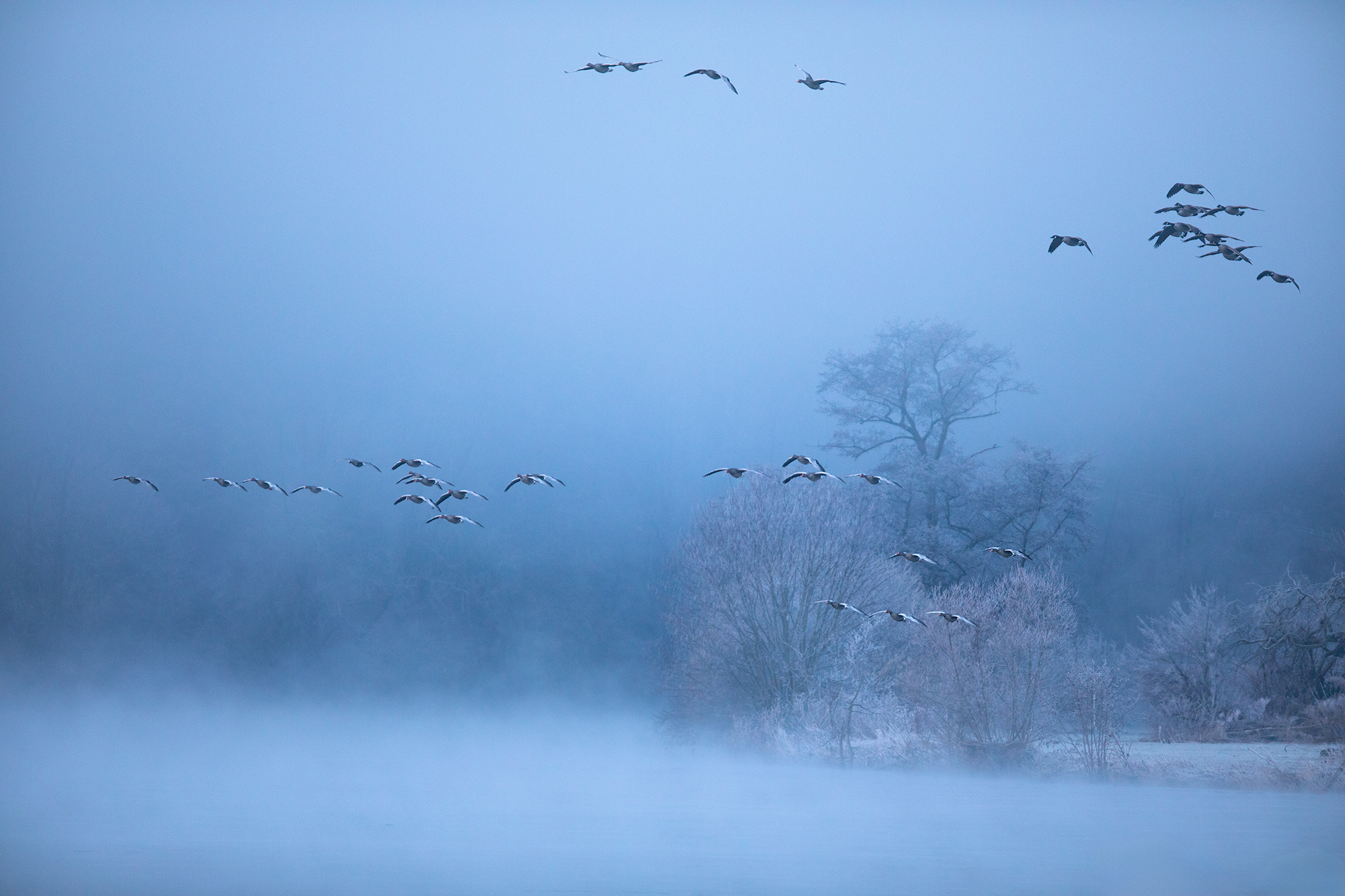 Winterstimmung