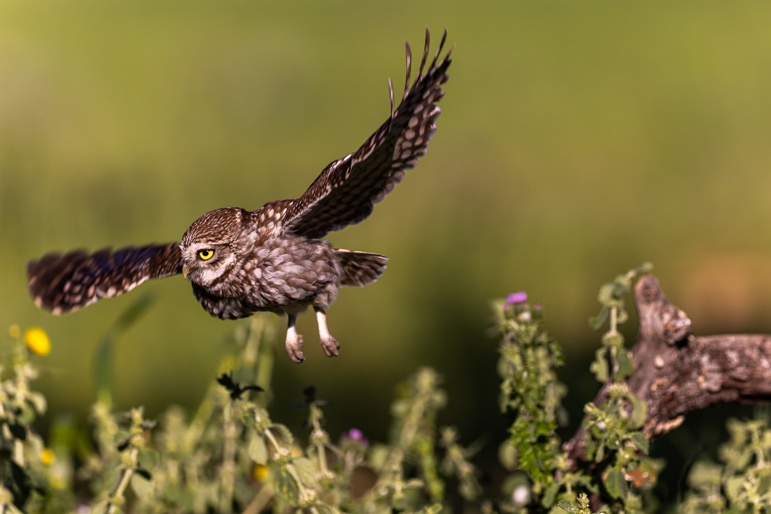 Abflug