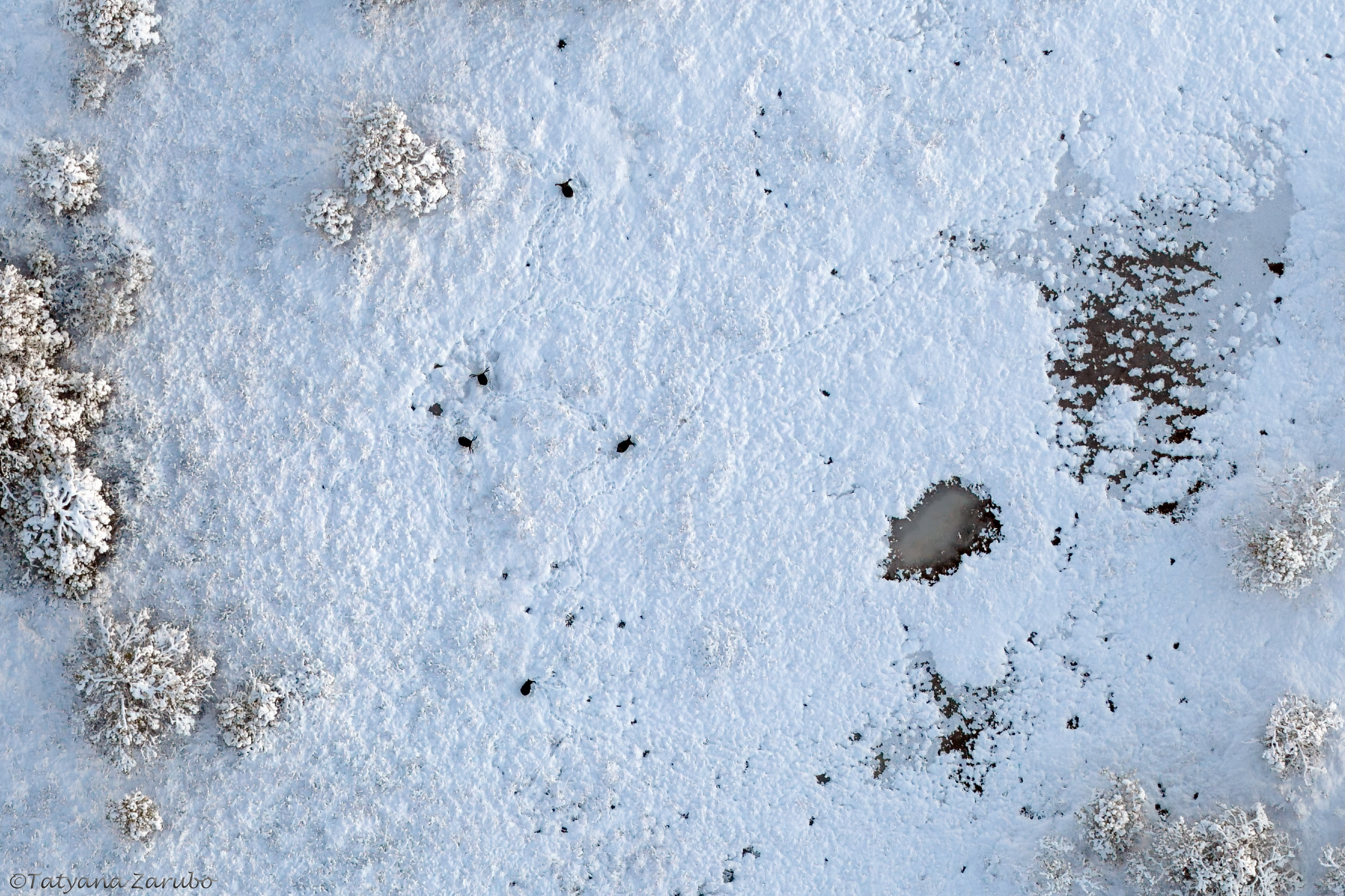 Novemberspaziergänge