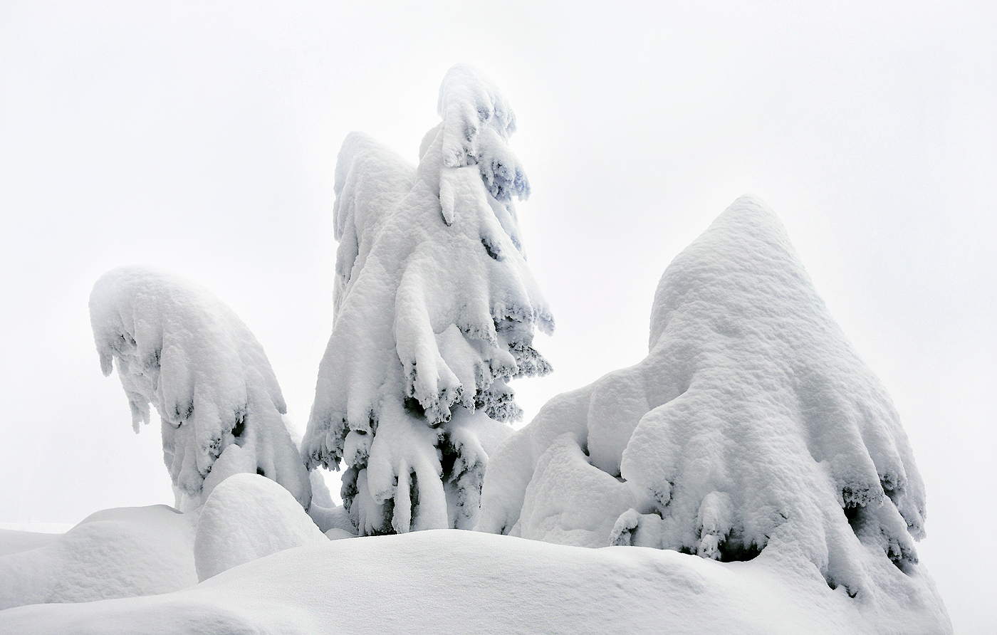 " Weihnachtswichtel "...,