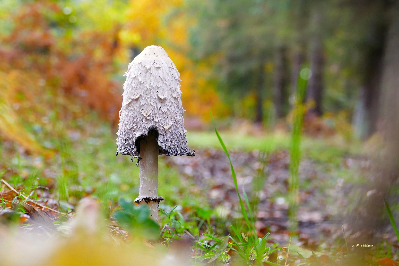Essen würde ich ihn nicht mehr