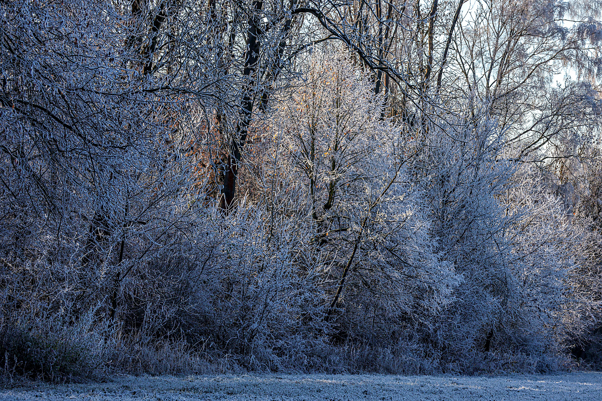 kein Schnee und doch eine kleine Welt in Weiß!