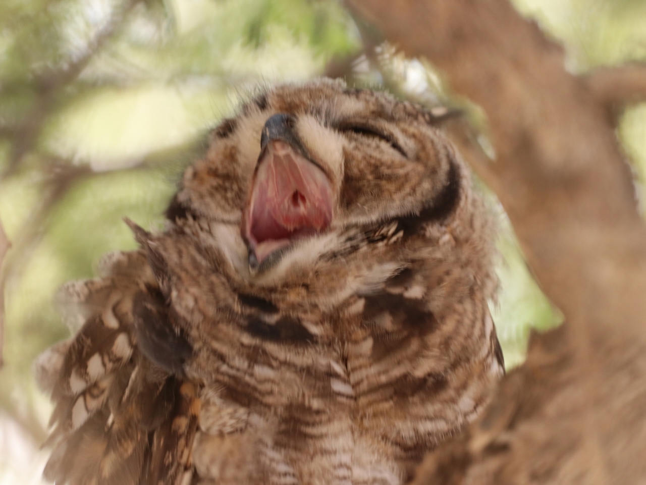 Kutz vor dem Einschlafen.