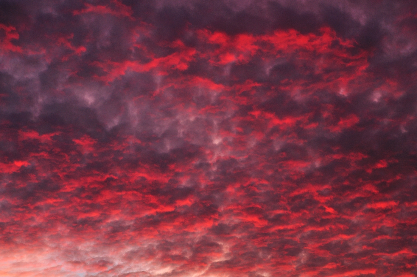 ~ Himmel in Flammen ~