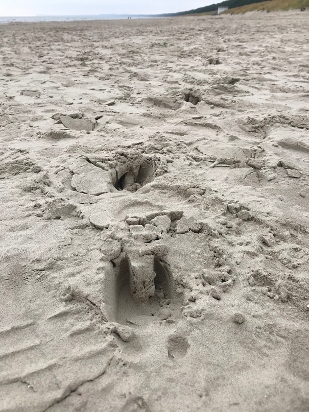 Spuren am Strand