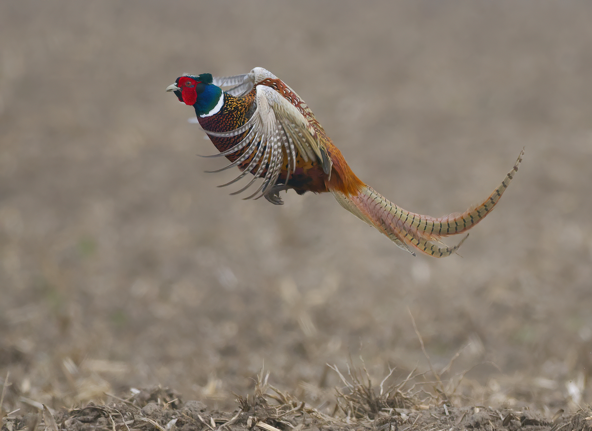 Abflug