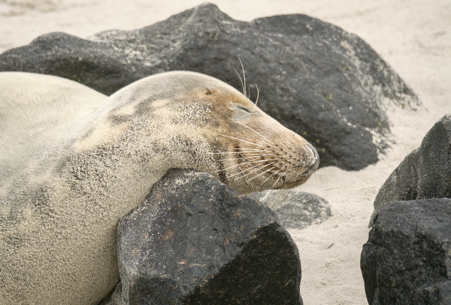 Das kann doch nicht bequem sein…