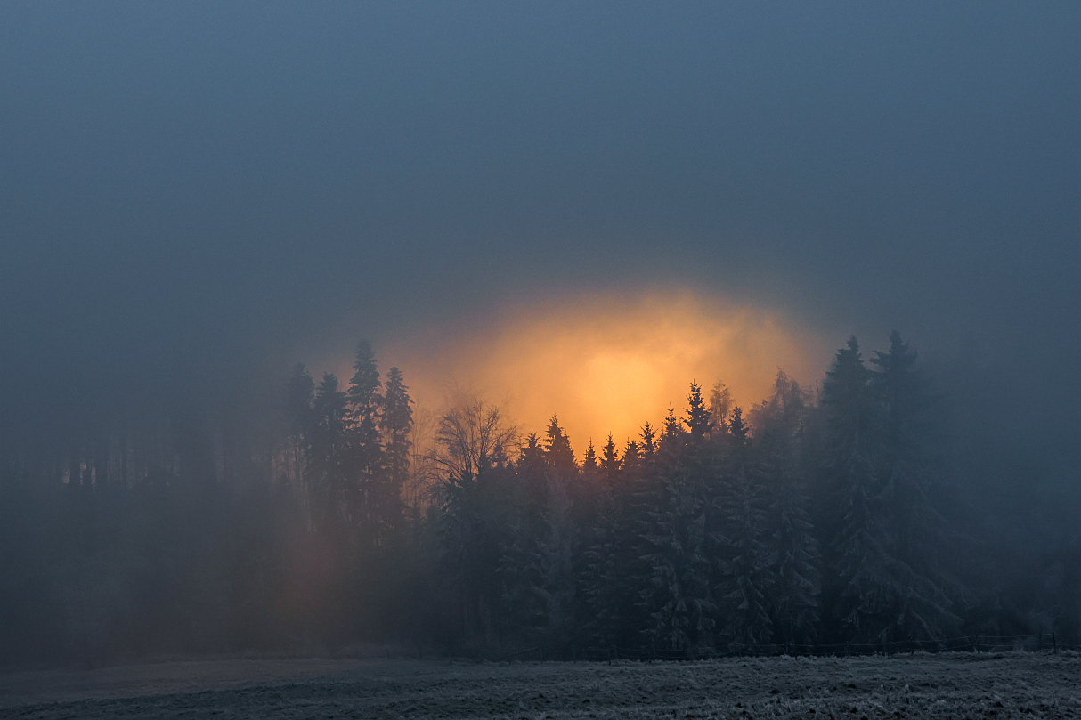 erst war blauer Himmel und Raureif dann .....