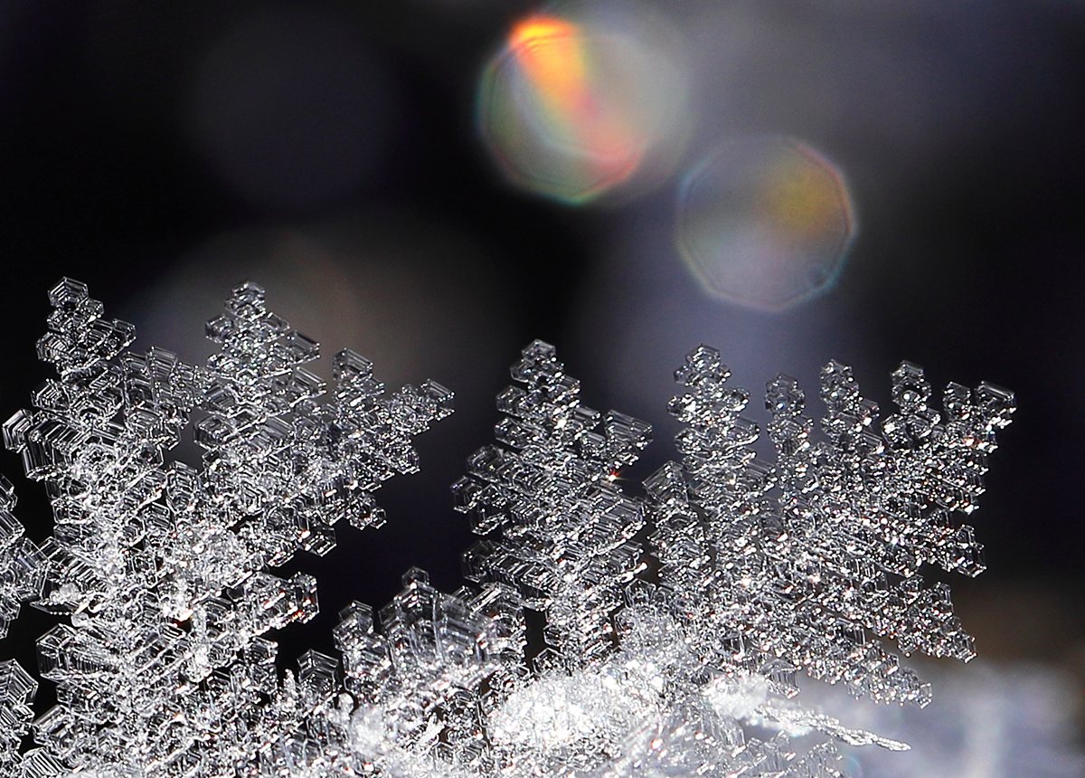 Eiswelt