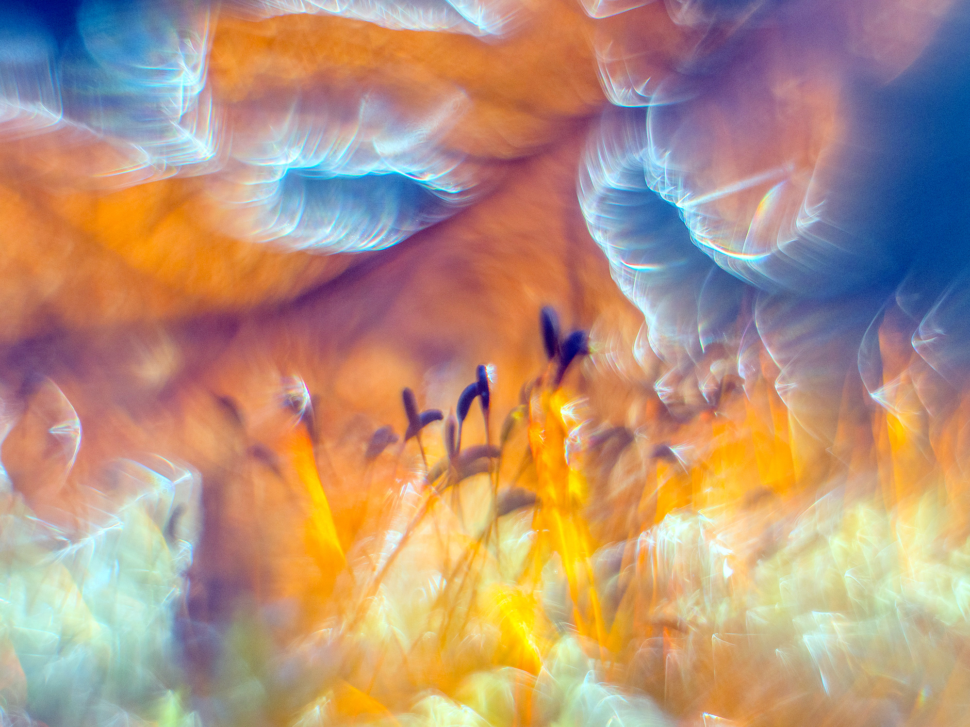 Einstein Rosen Brücke