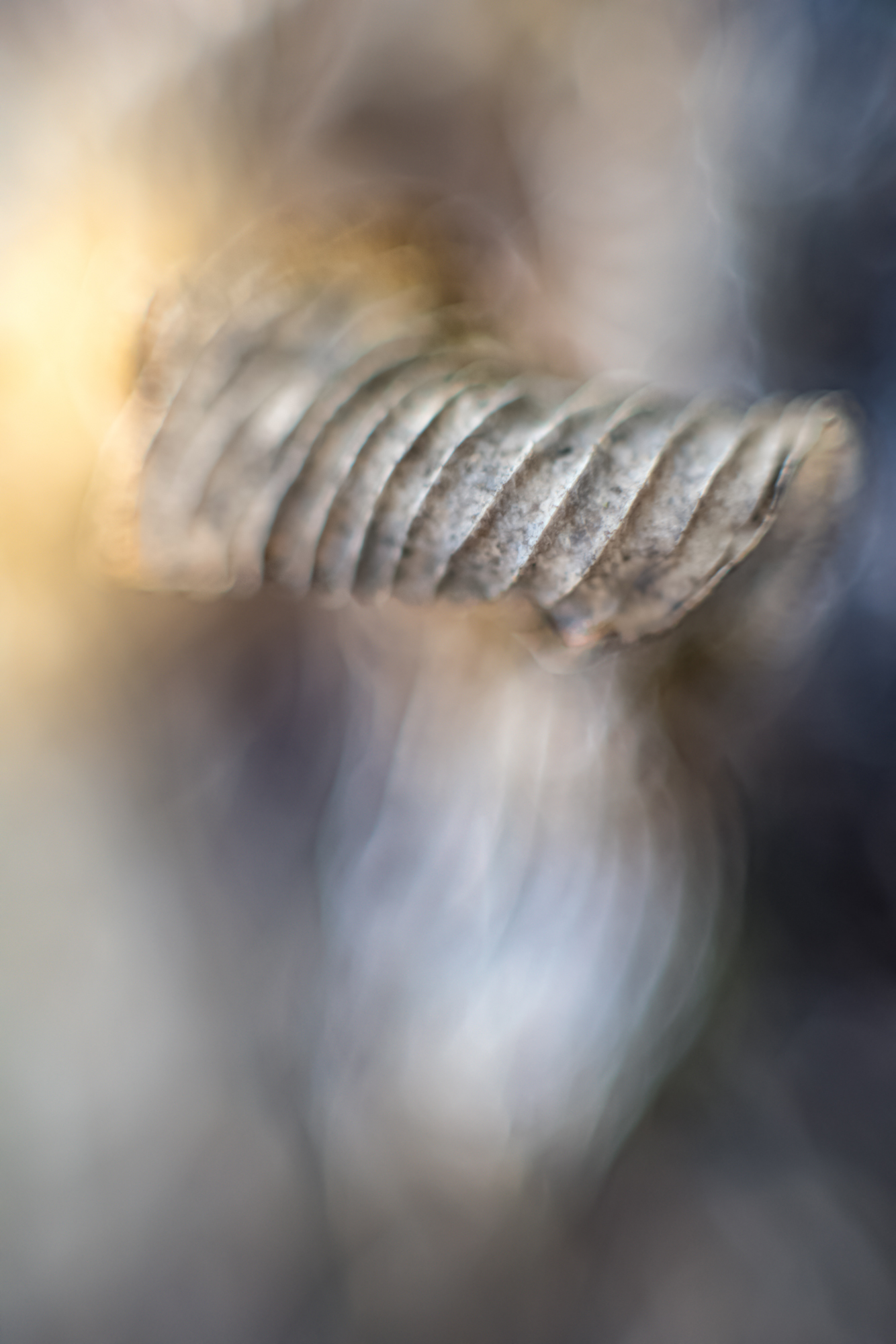 Eingerolltes Blatt (Altgas)