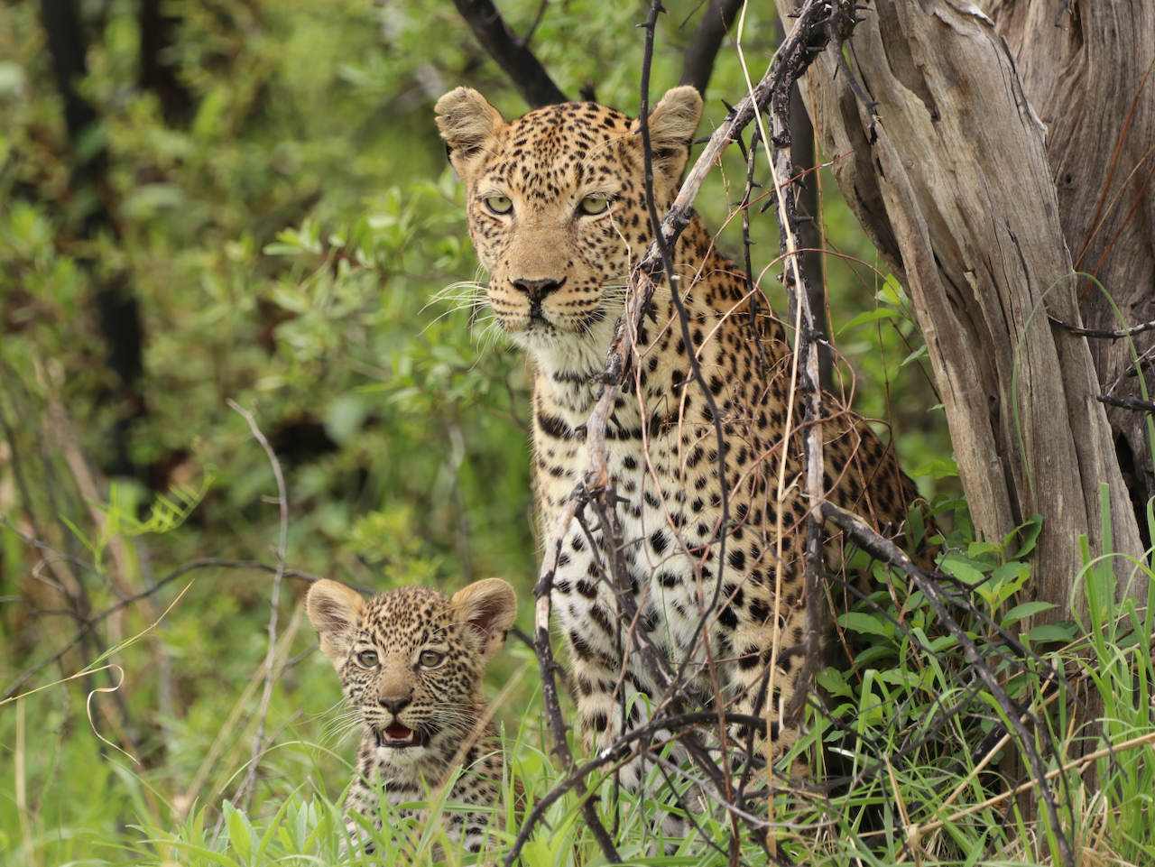 Es gibt viel zu Entdecken.