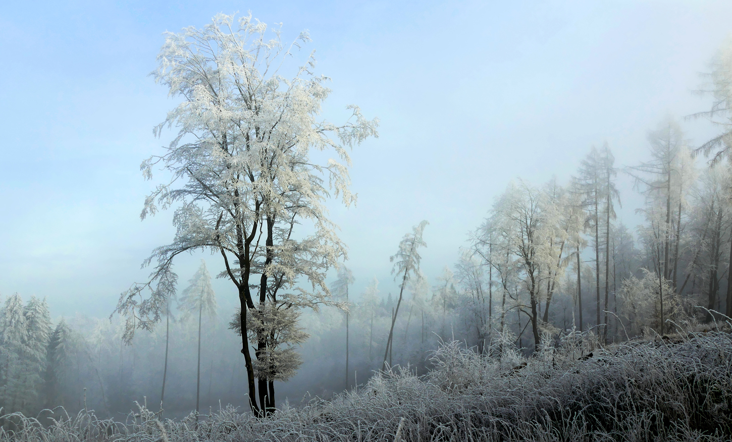 Winter