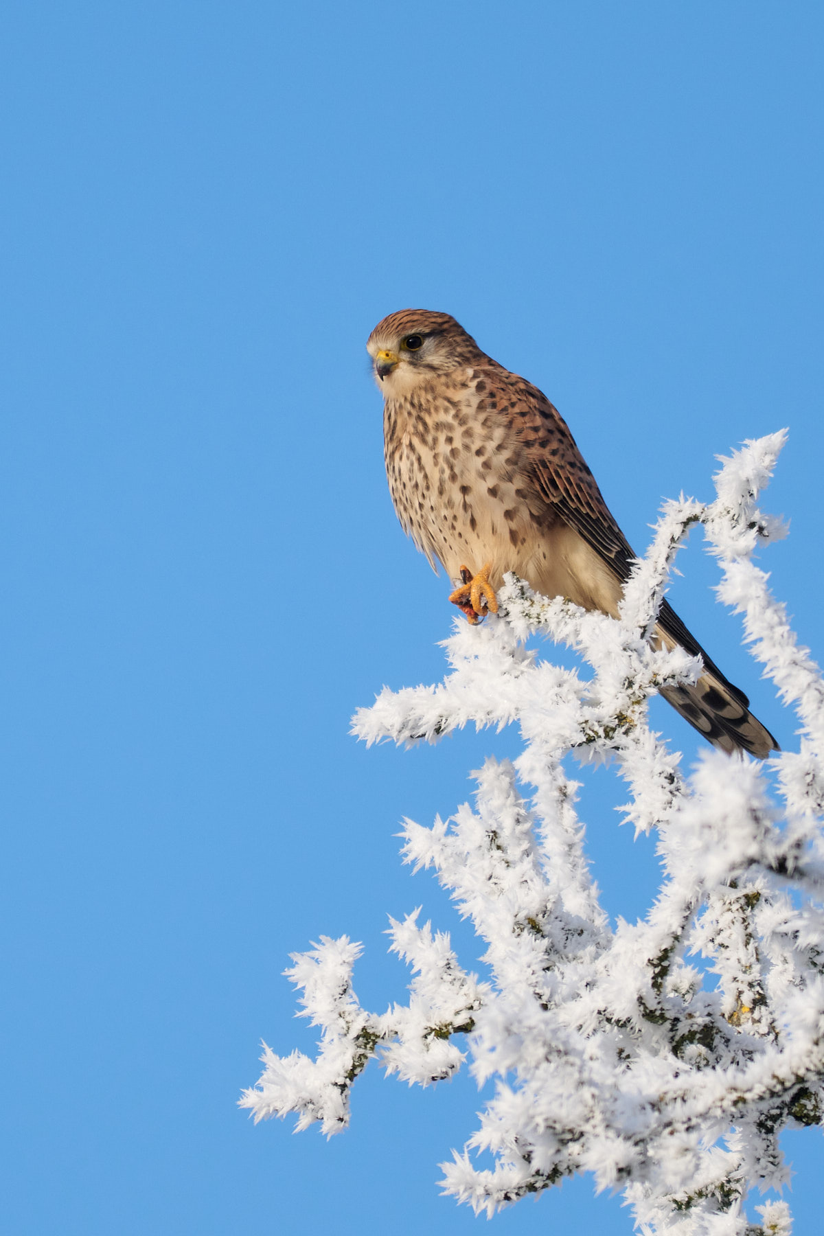 Einen optimistischen Blick auf 2026