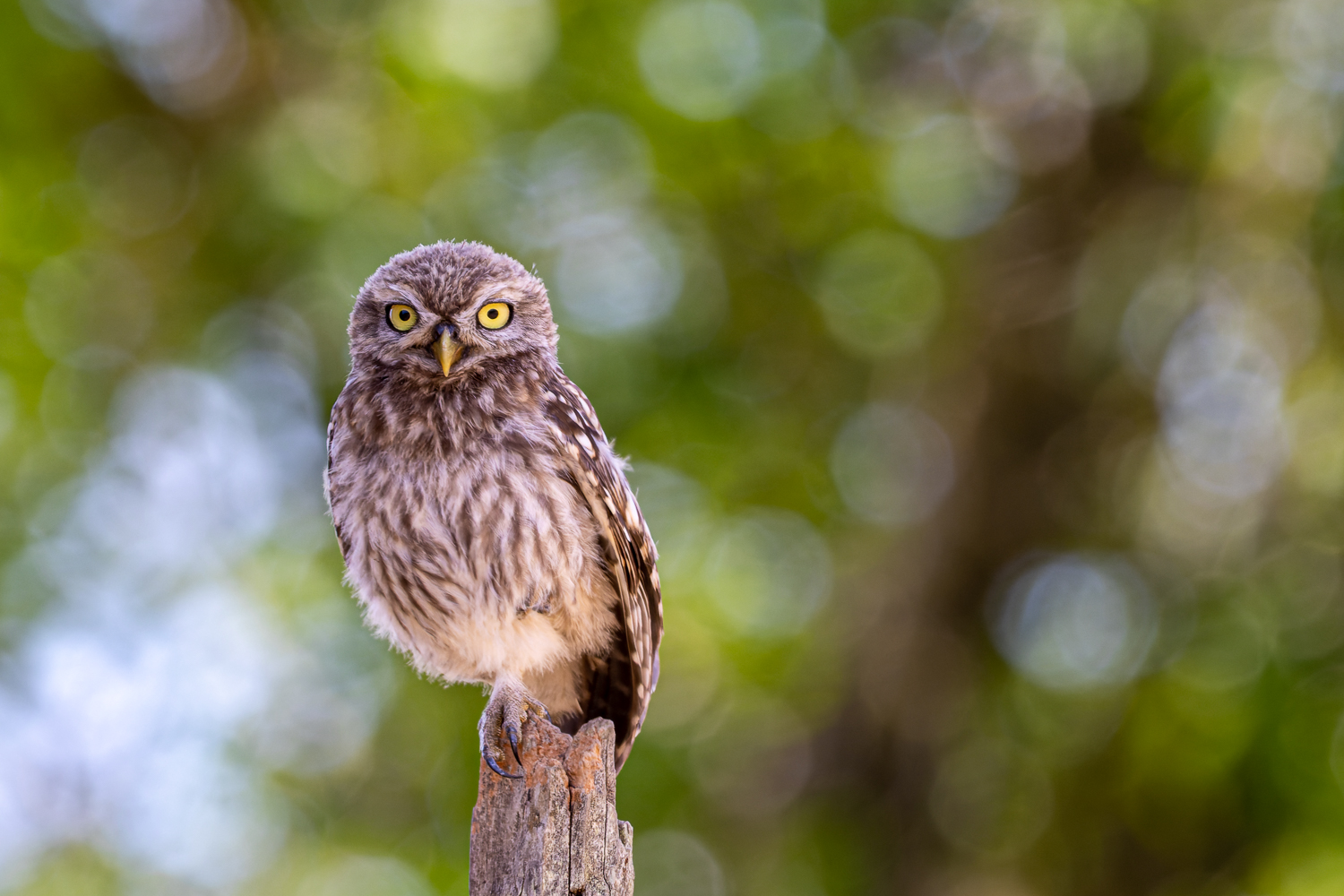 Alles im Blick
