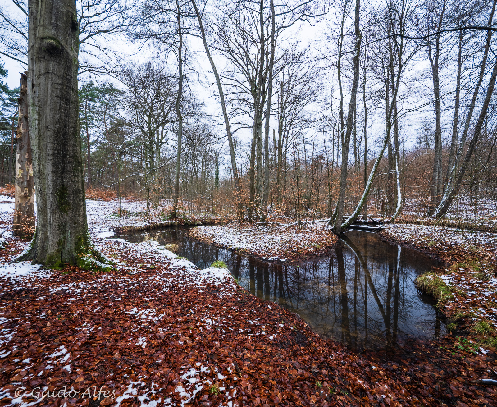 Angeschneit