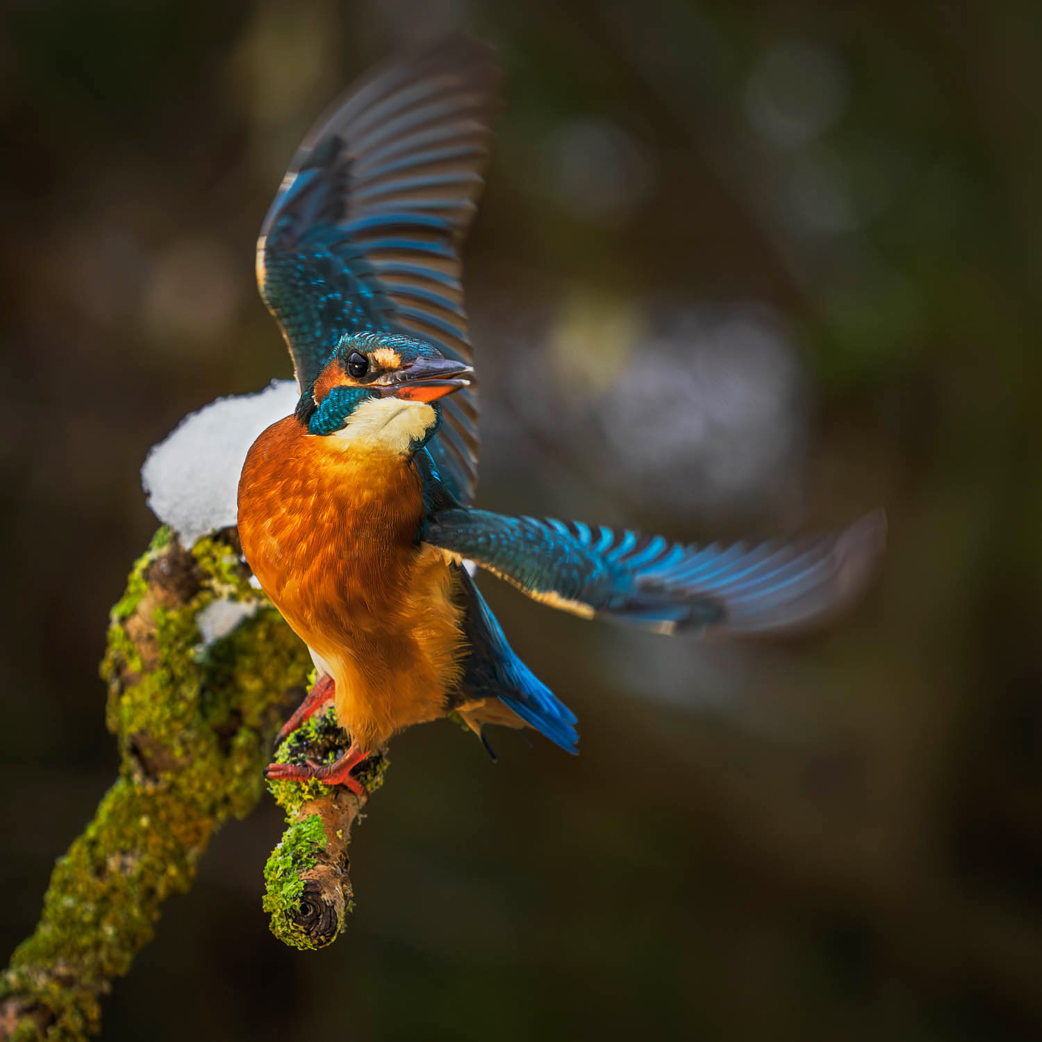 Abflug