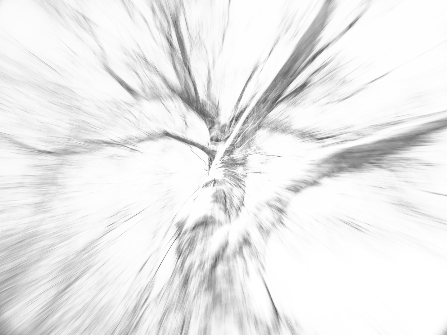 Bleistiftzeichnung