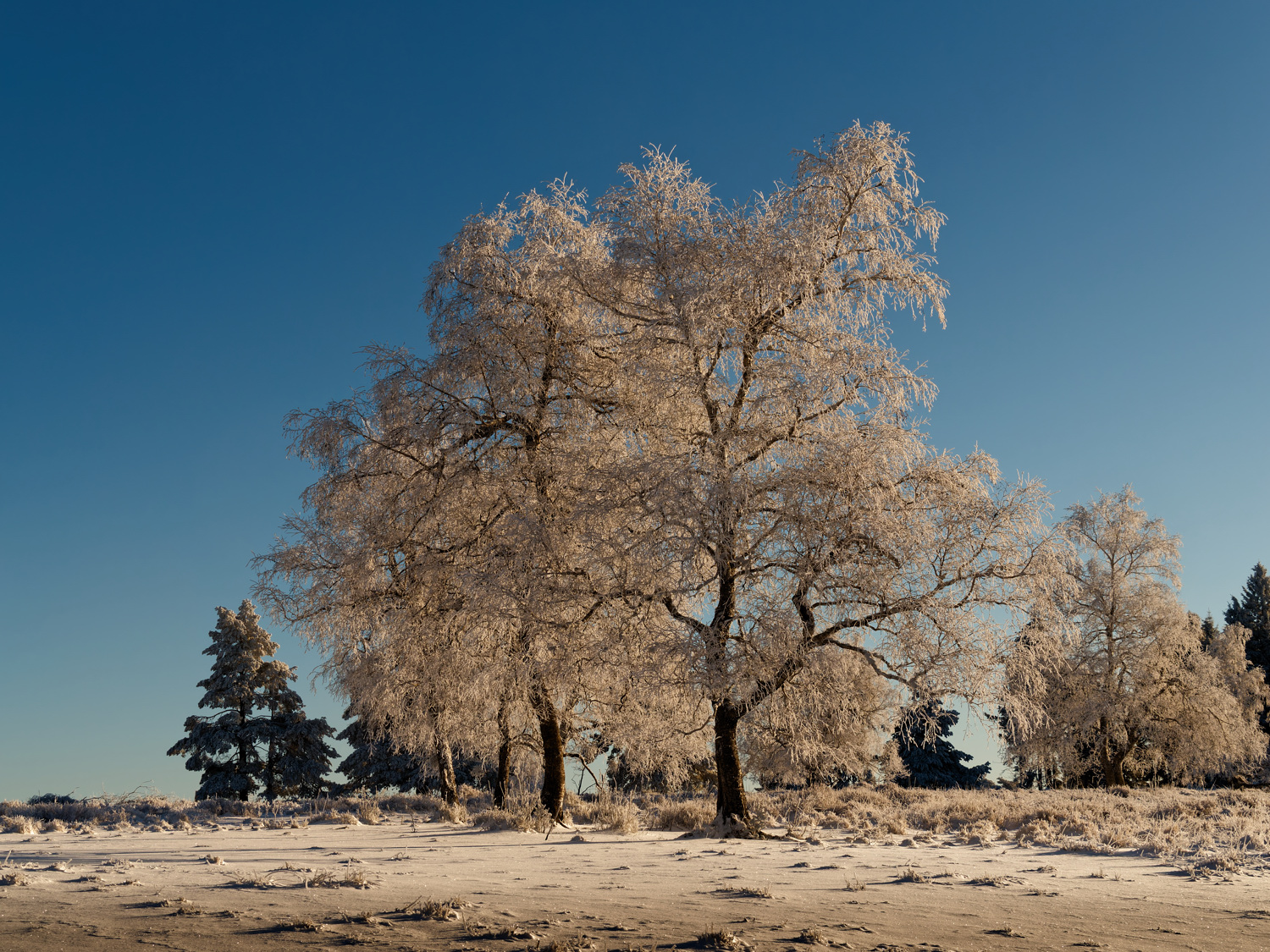 Winter....