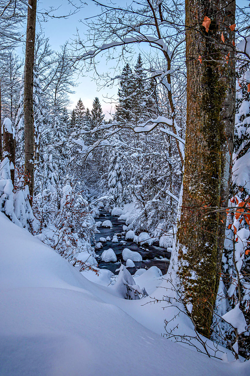 Blick ins Reich der Schneekönigin