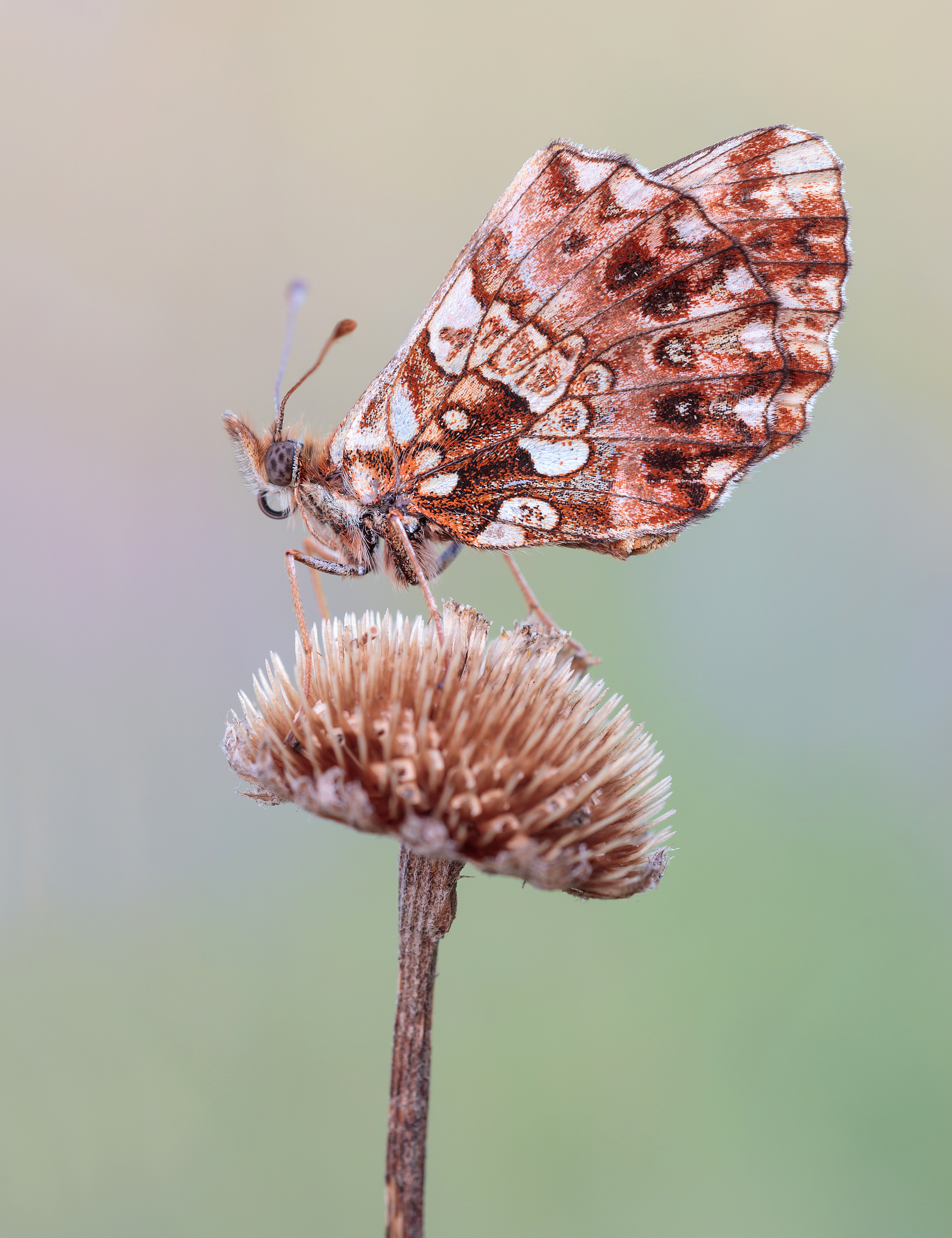 Aus besseren Zeiten...